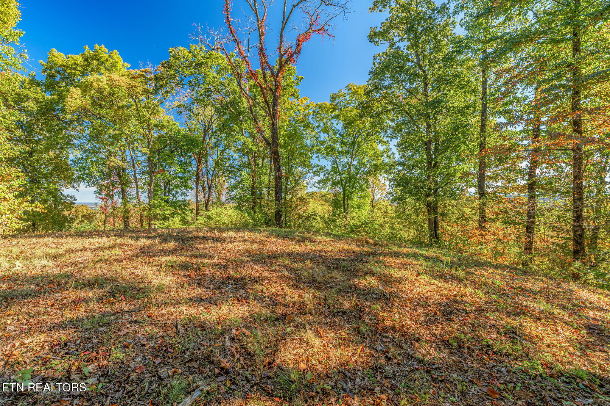 858 N Shiloh Road Seymour TN 37865