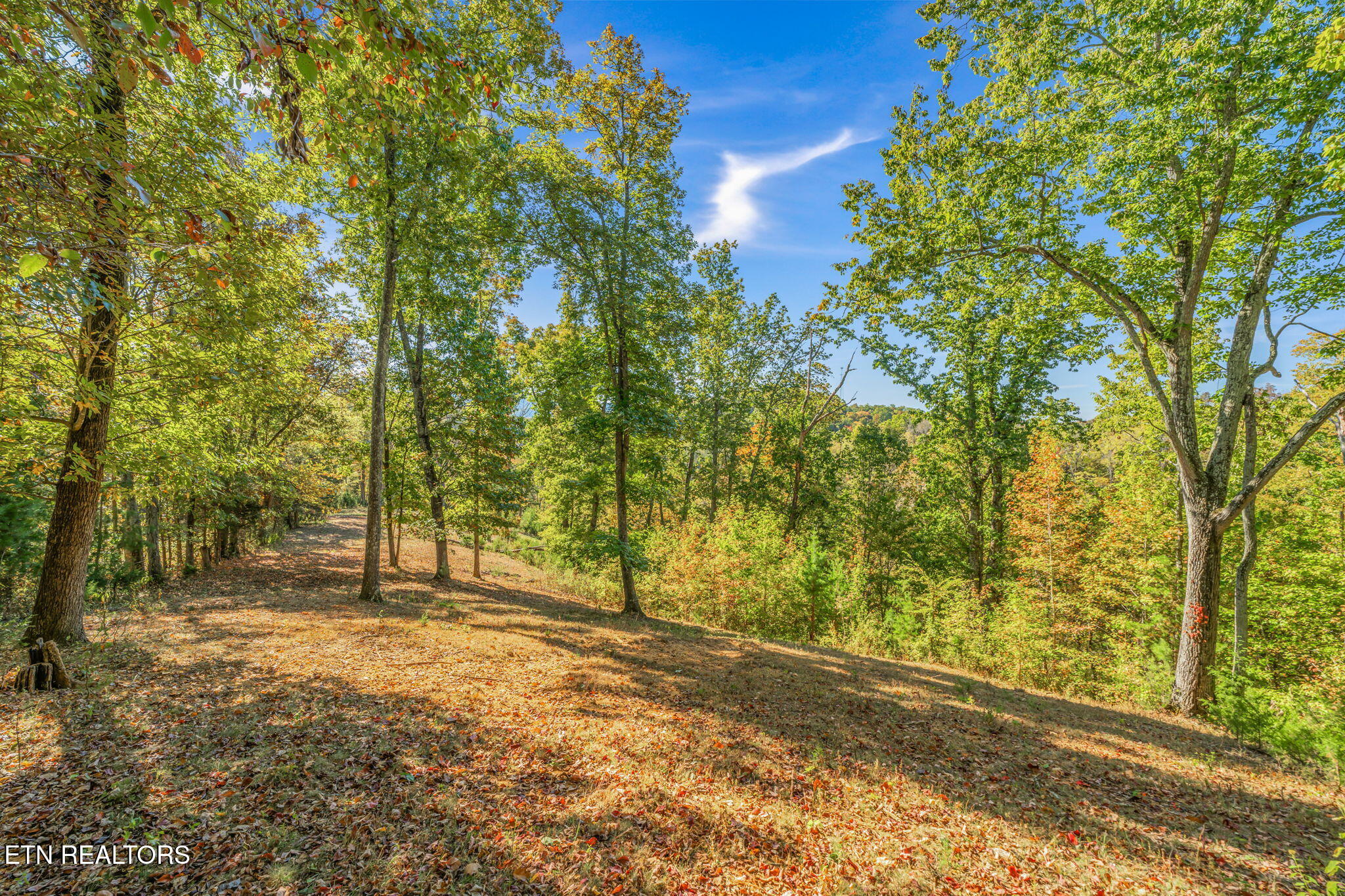 858 N Shiloh Road Seymour TN 37865