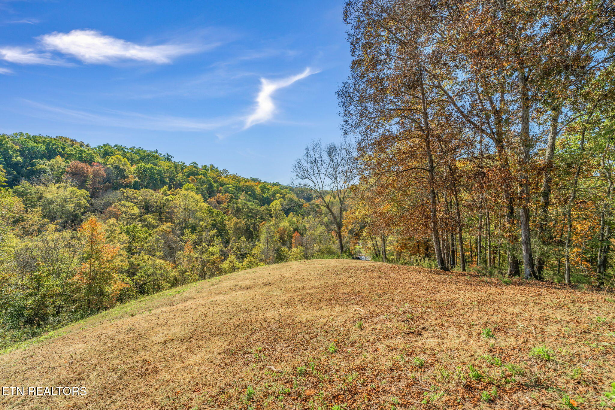 858 N Shiloh Road Seymour TN 37865