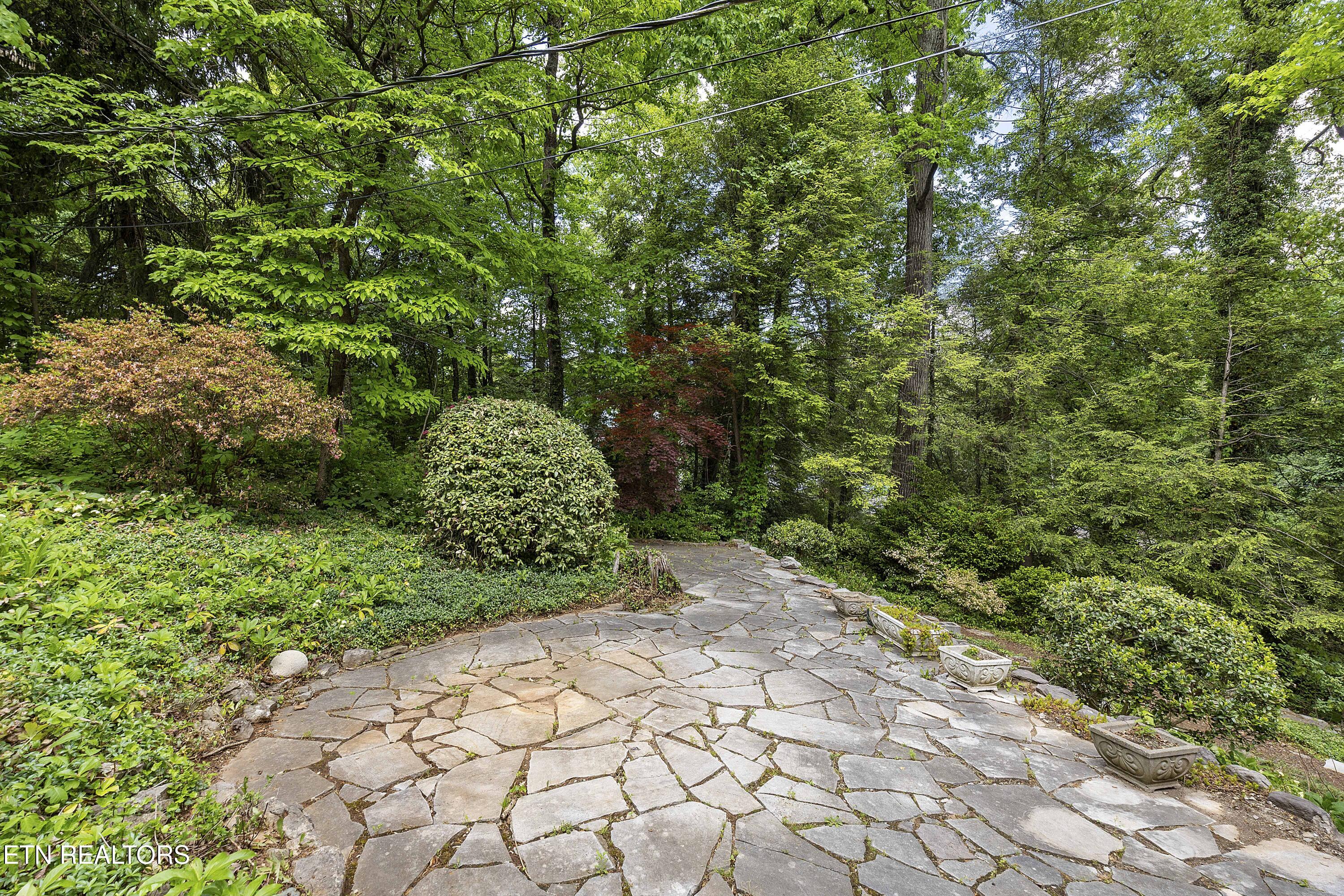 702 Forest Hills Boulevard Knoxville TN 37919