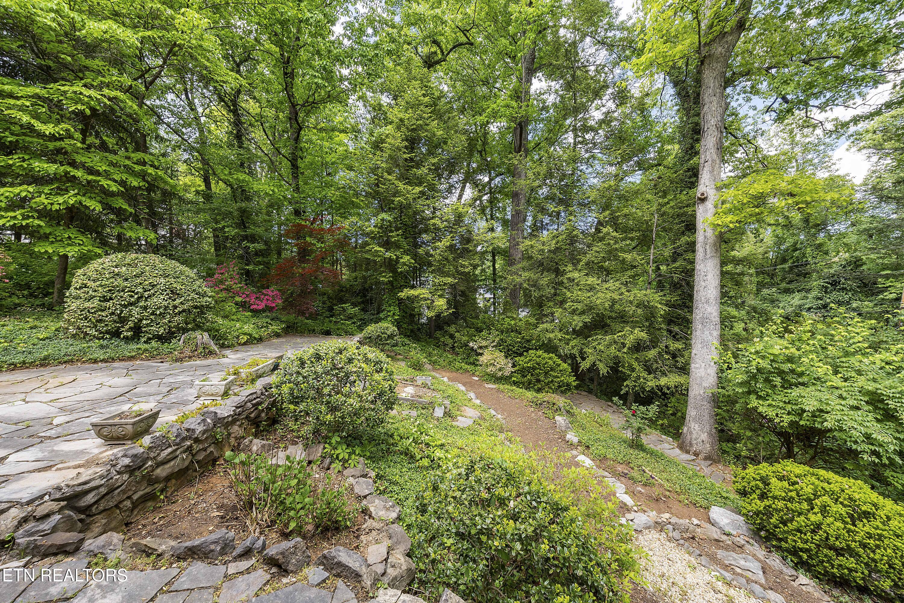 702 Forest Hills Boulevard Knoxville TN 37919