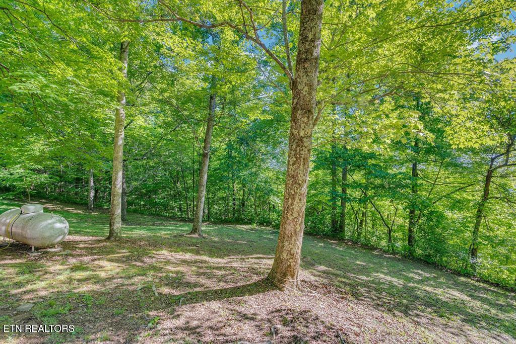 755 Woody Road Byrdstown TN 38549