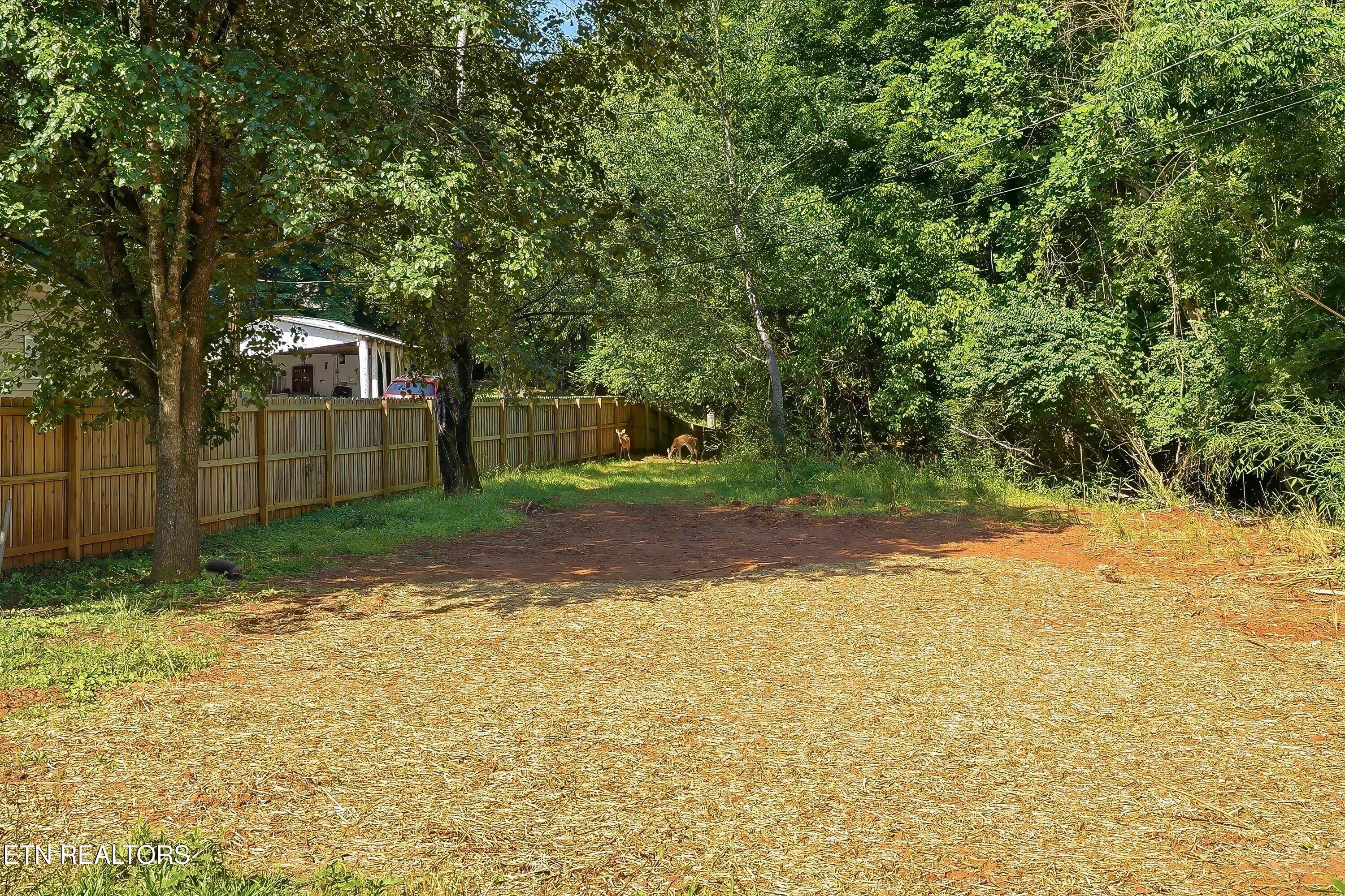 1717 Polkwright Lane Knoxville TN 37919