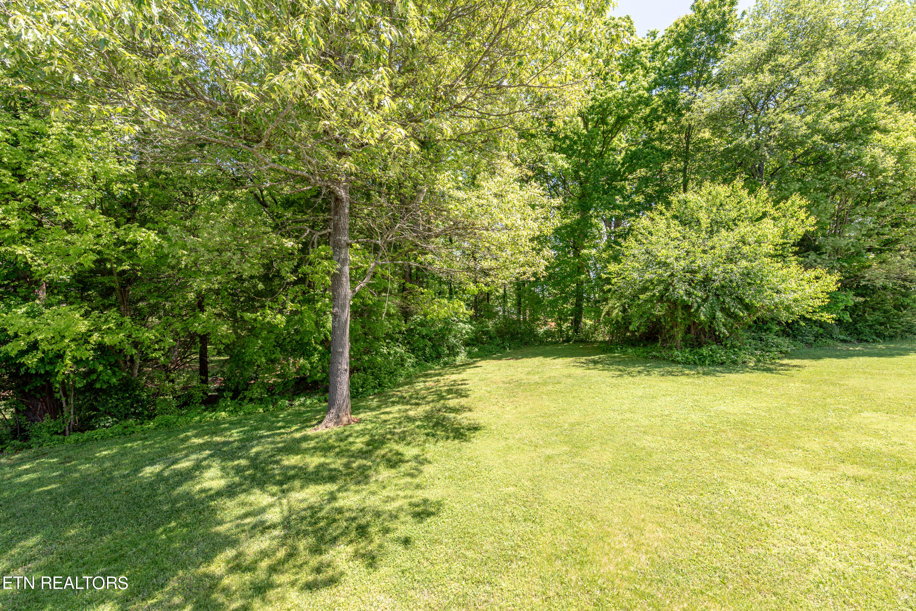 1303 Houston Springs Road Greenback TN 37742