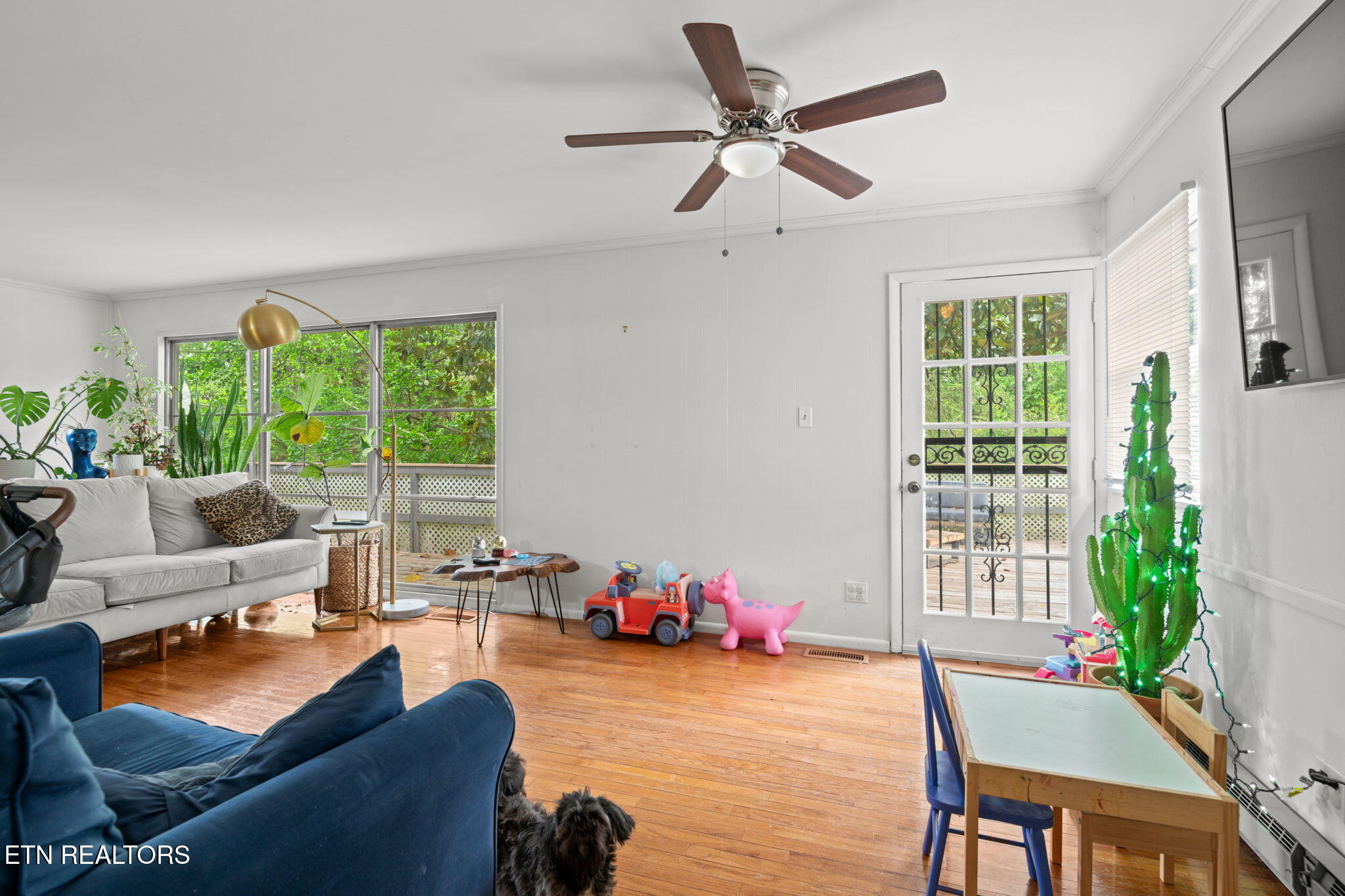 109 Albany Road Oak Ridge TN 37830