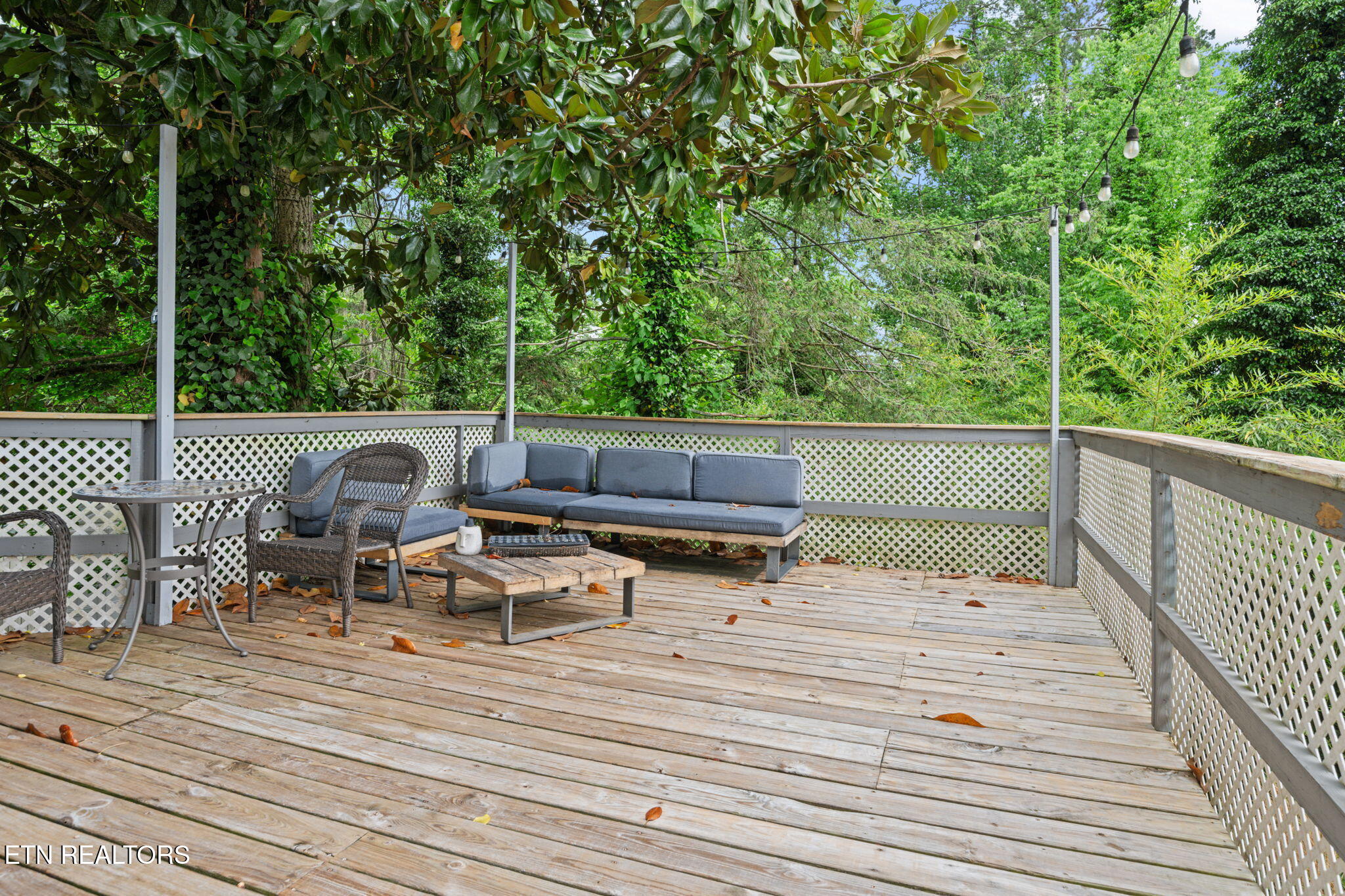 109 Albany Road Oak Ridge TN 37830