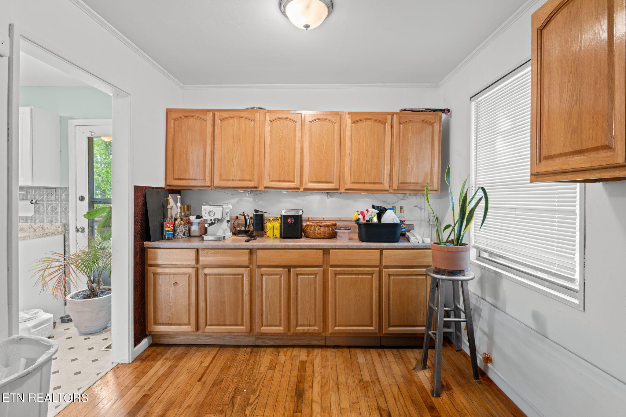 109 Albany Road Oak Ridge TN 37830