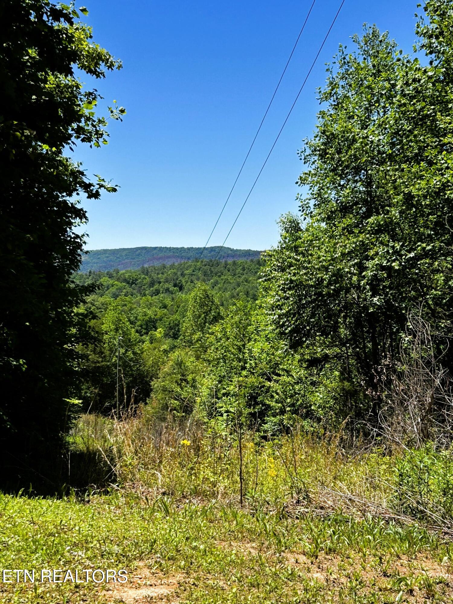 161 Willie Shell Road Reliance TN 37369