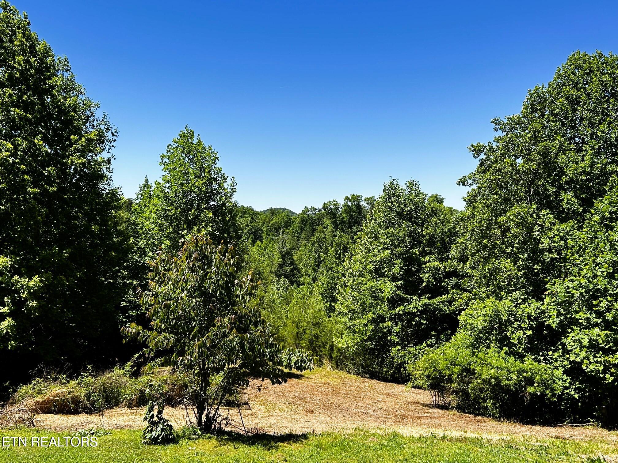 161 Willie Shell Road Reliance TN 37369