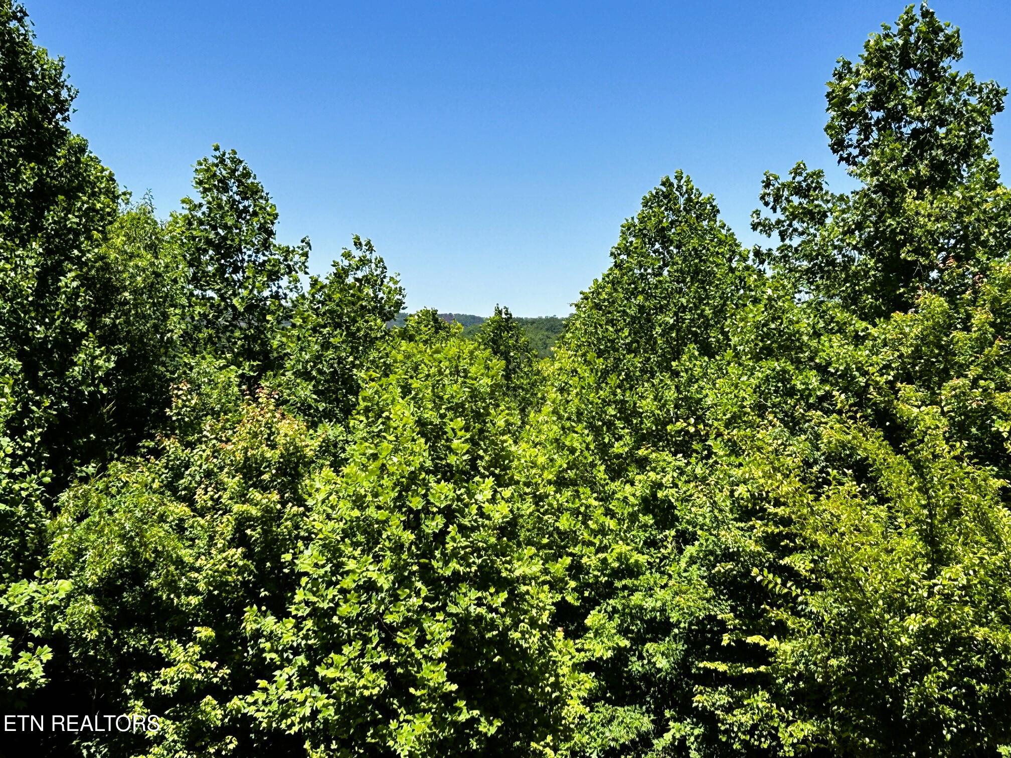 161 Willie Shell Road Reliance TN 37369