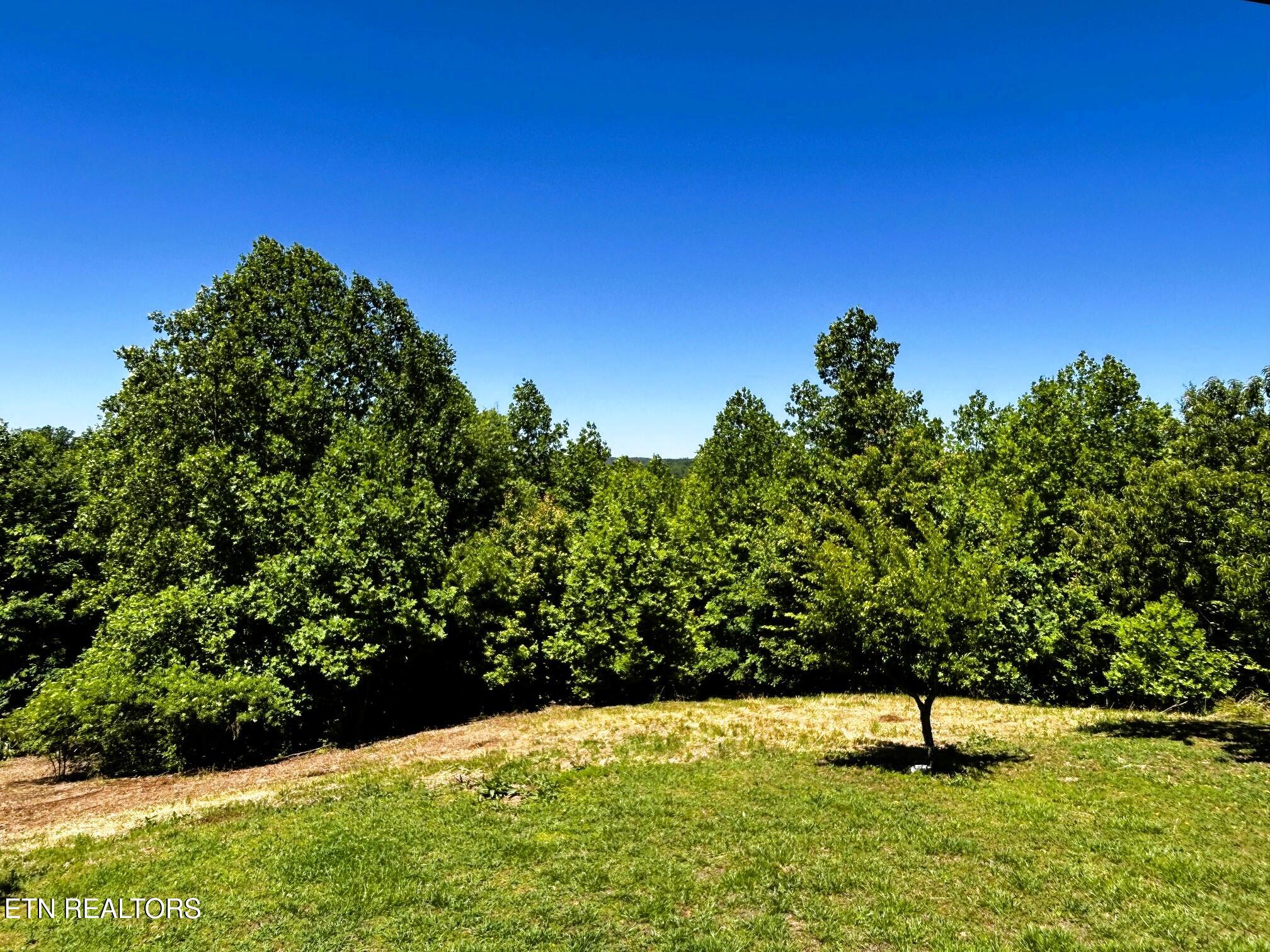 161 Willie Shell Road Reliance TN 37369