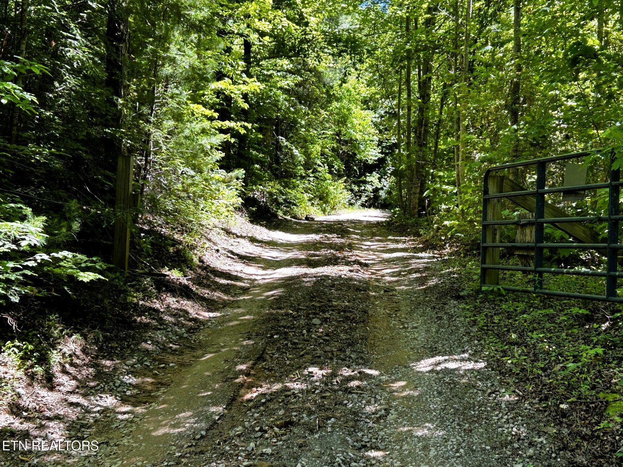 161 Willie Shell Road Reliance TN 37369