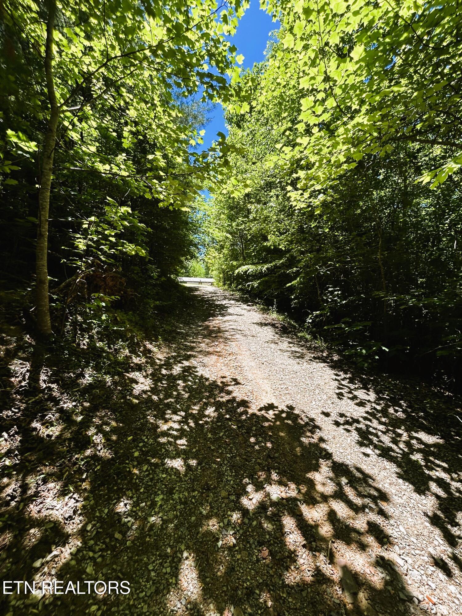 161 Willie Shell Road Reliance TN 37369