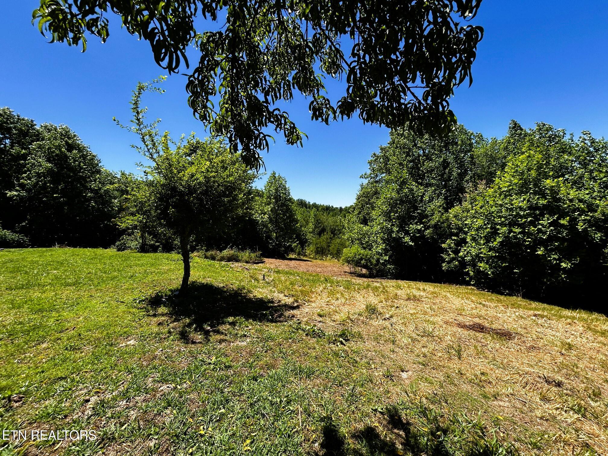 161 Willie Shell Road Reliance TN 37369