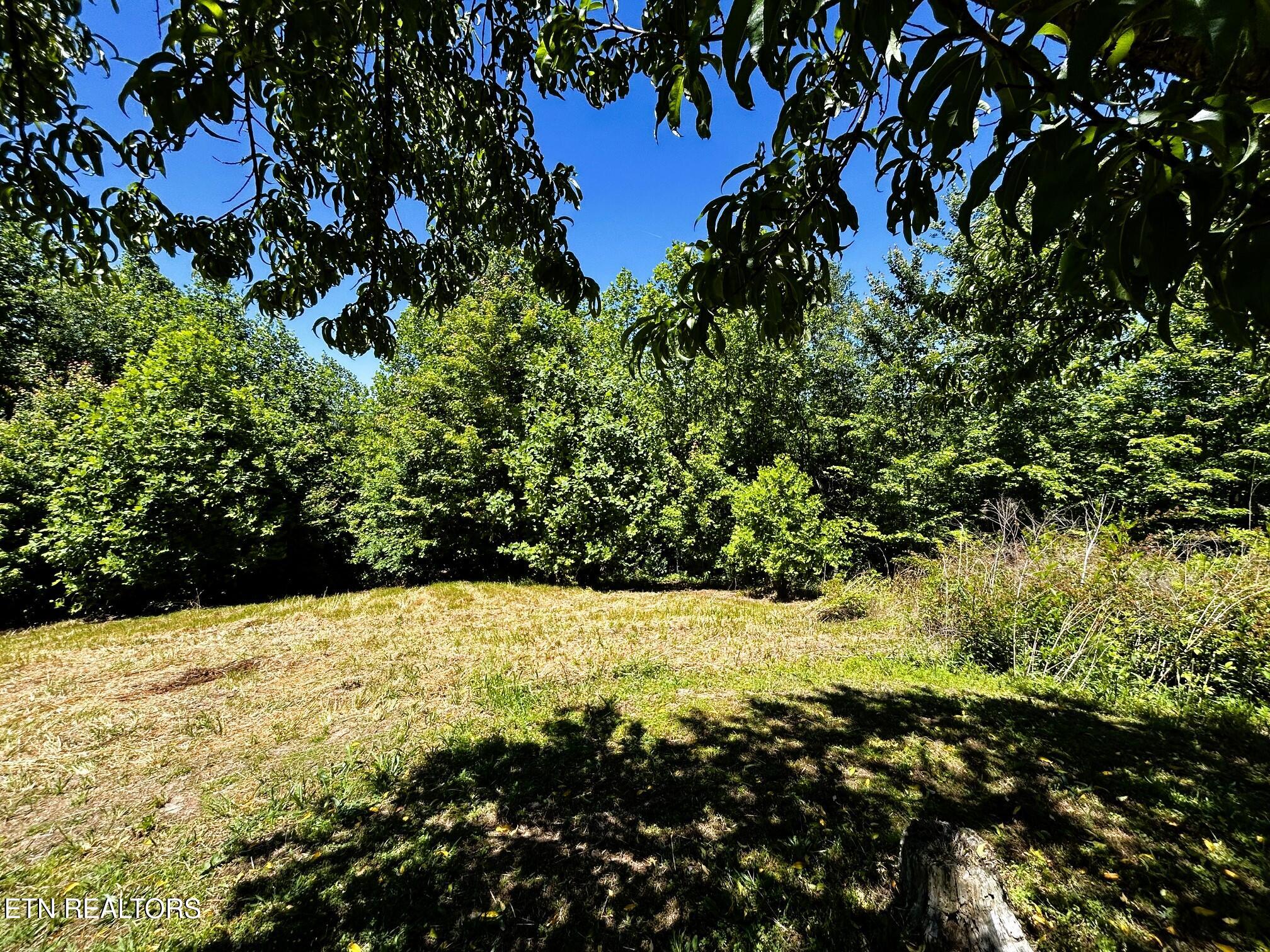 161 Willie Shell Road Reliance TN 37369