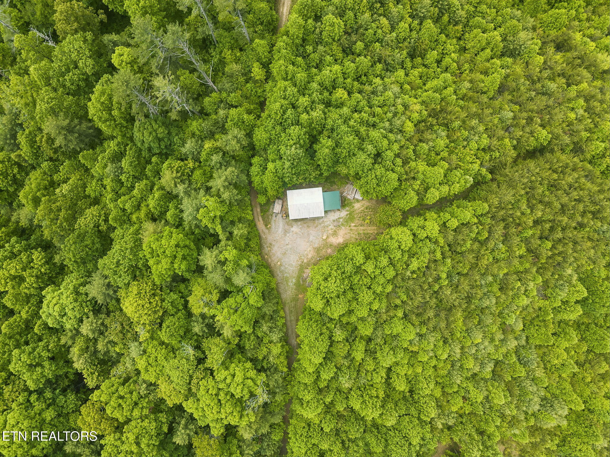 161 Willie Shell Road Reliance TN 37369