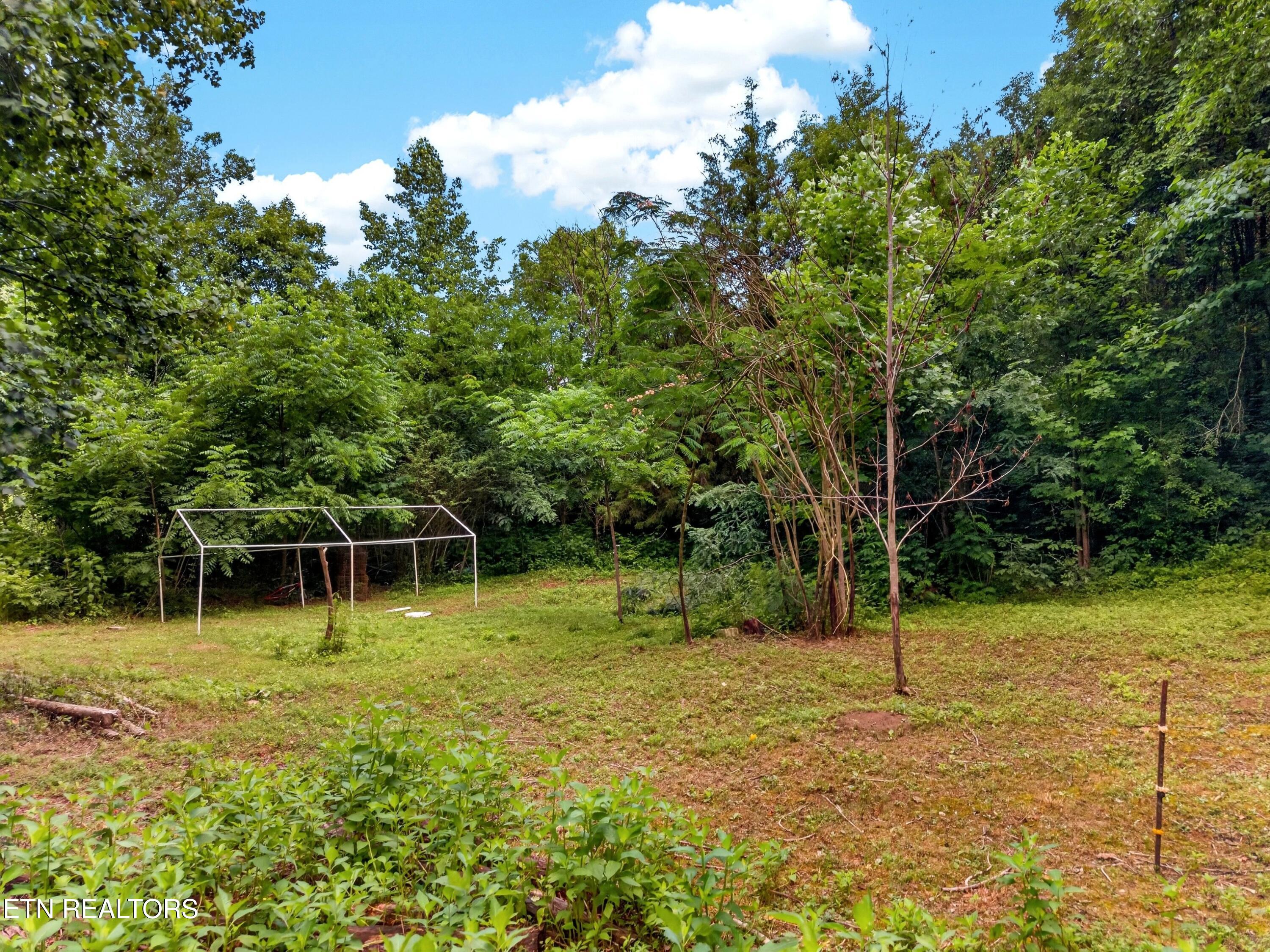 2087 Bullen Valley Road Thorn Hill TN 37881