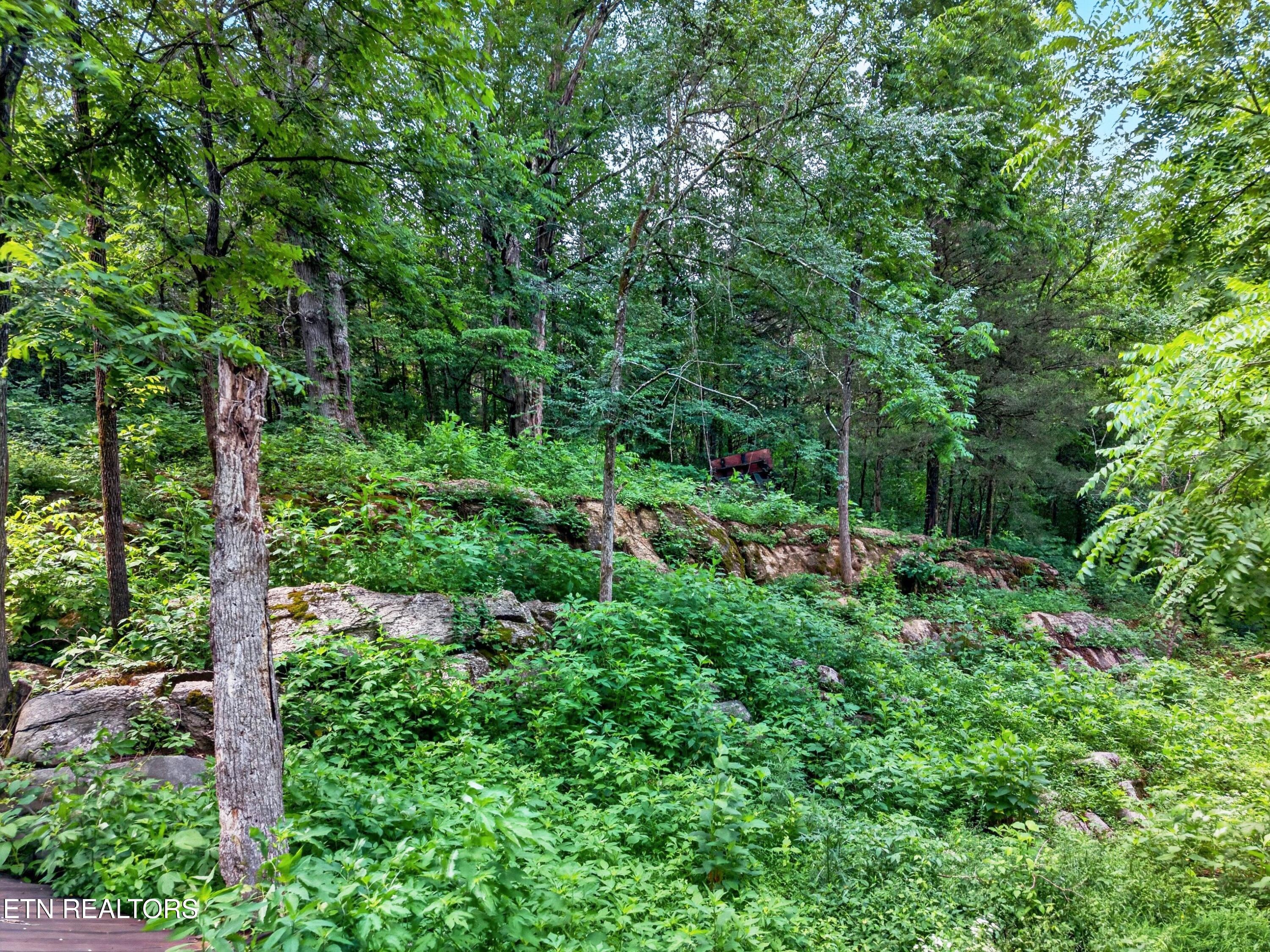 2087 Bullen Valley Road Thorn Hill TN 37881