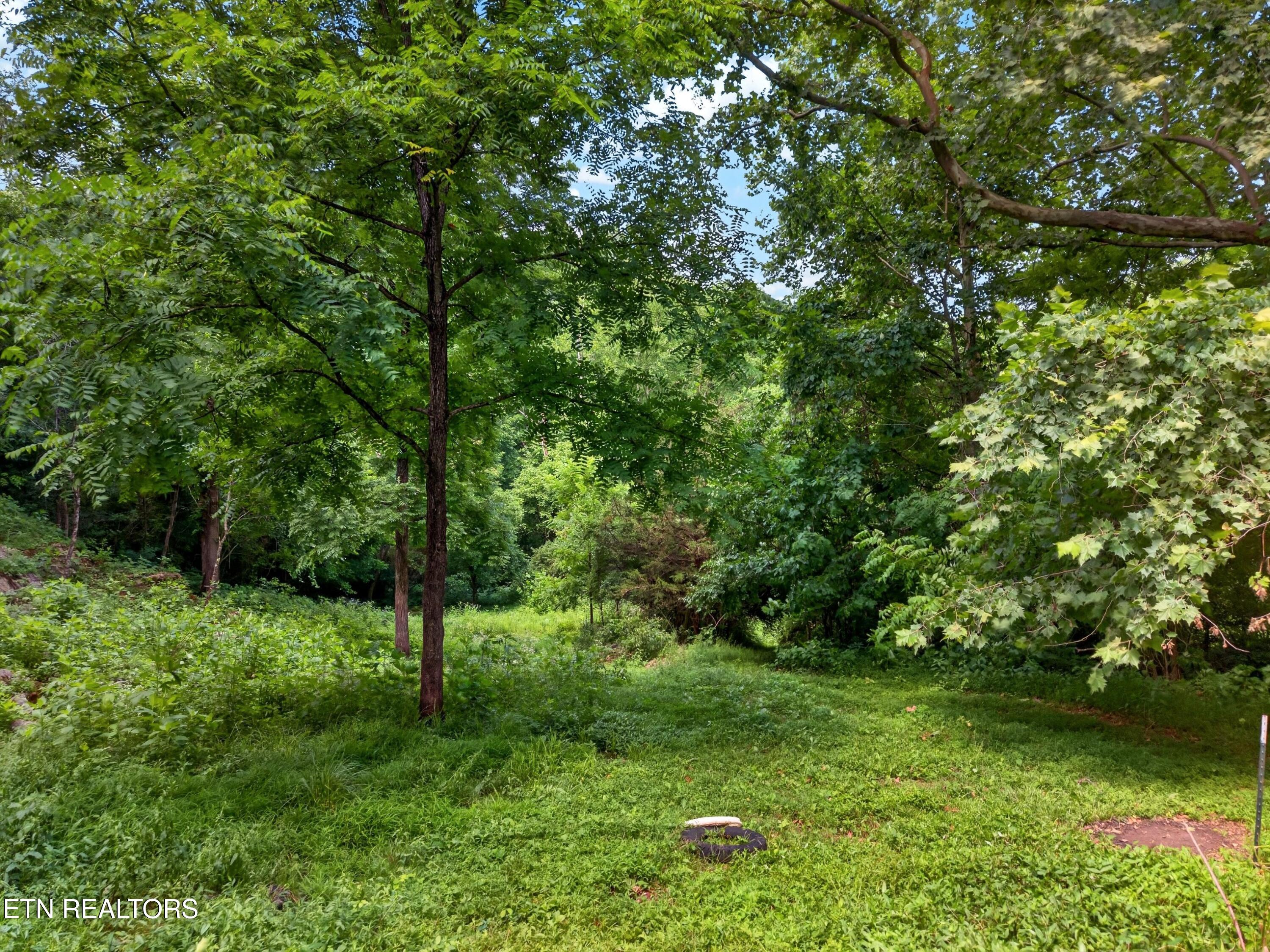 2087 Bullen Valley Road Thorn Hill TN 37881