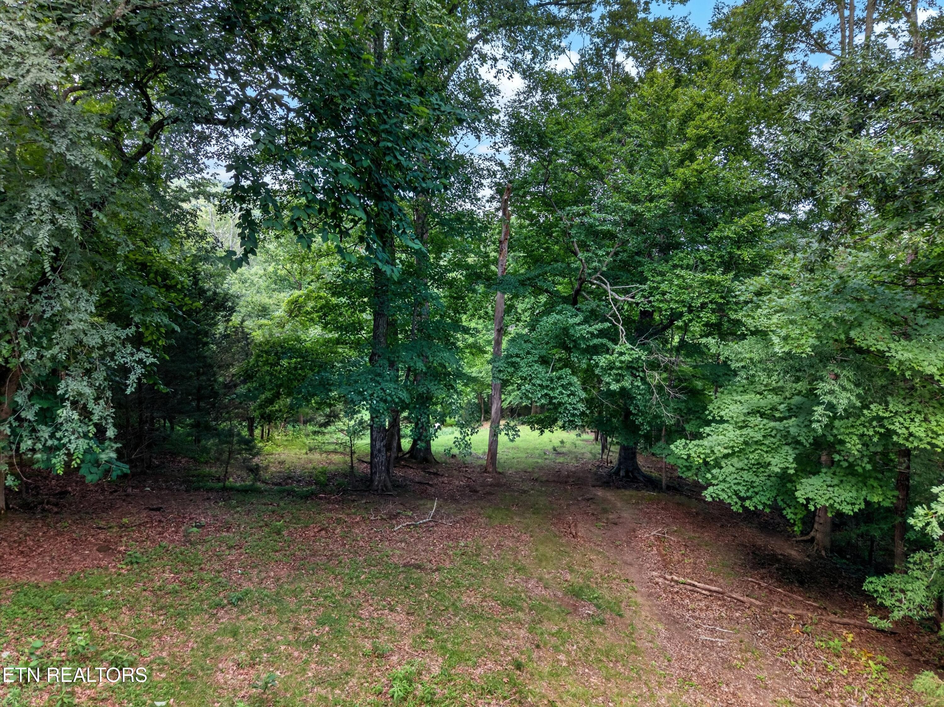 2087 Bullen Valley Road Thorn Hill TN 37881