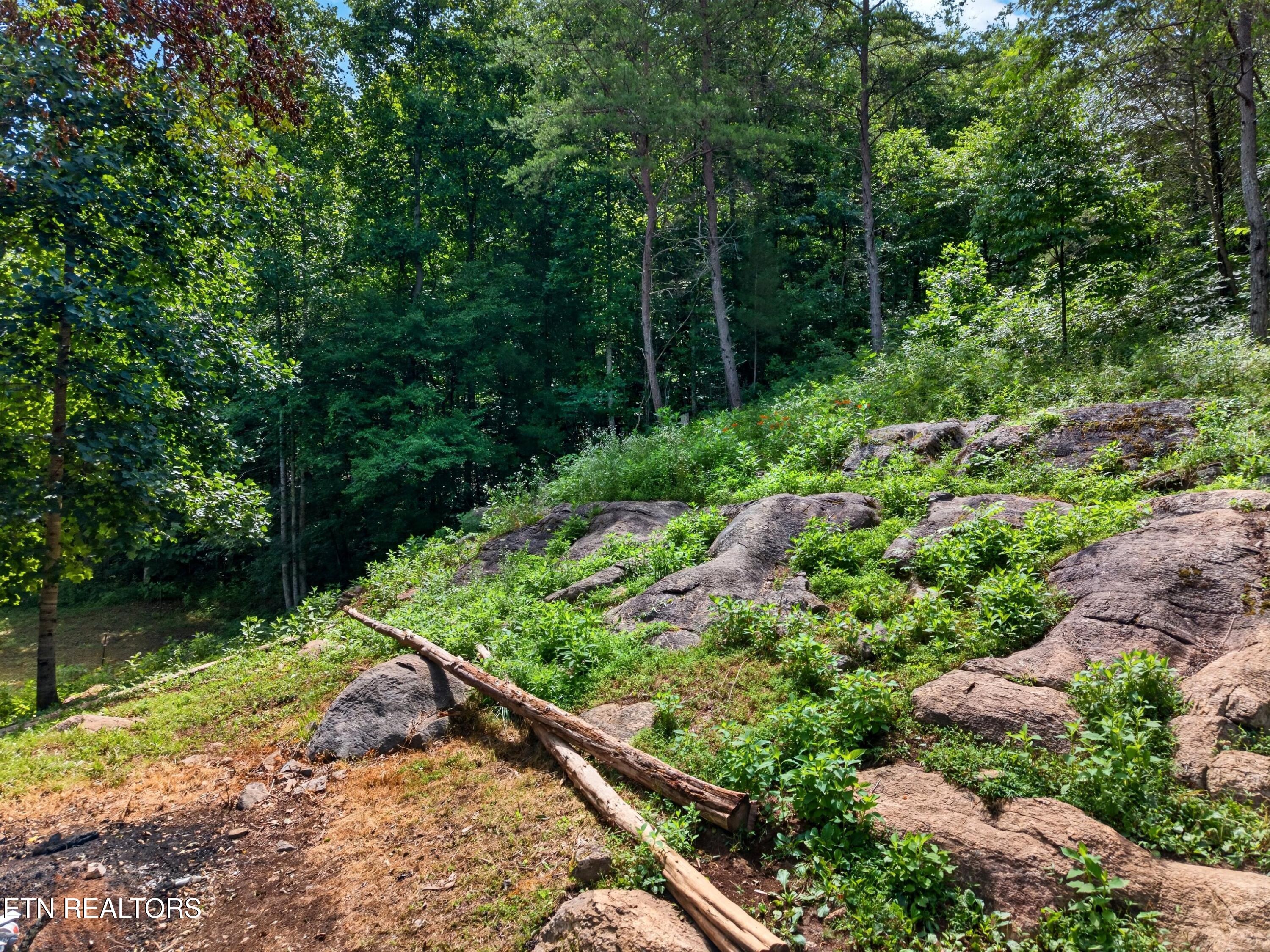 2087 Bullen Valley Road Thorn Hill TN 37881