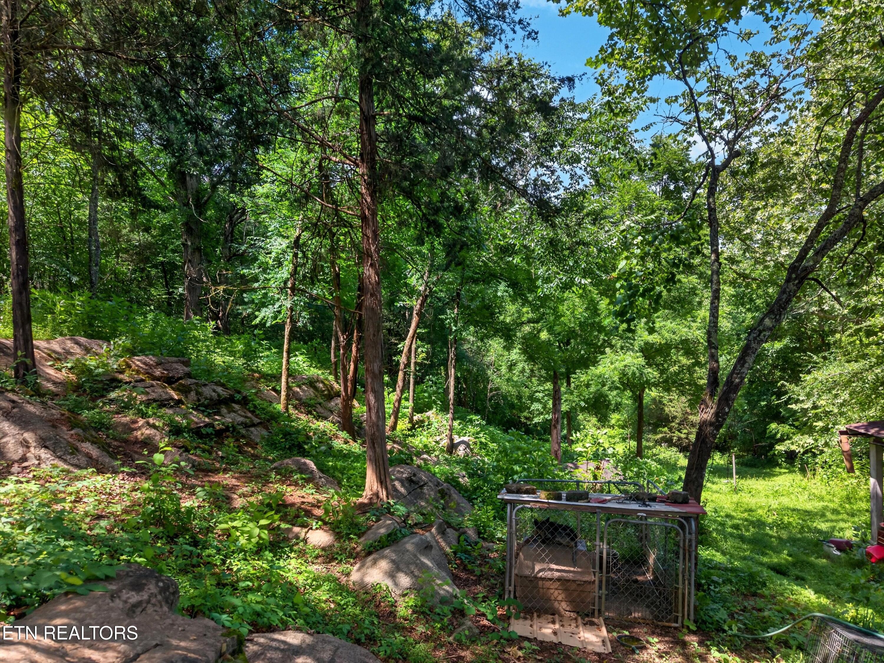 2087 Bullen Valley Road Thorn Hill TN 37881