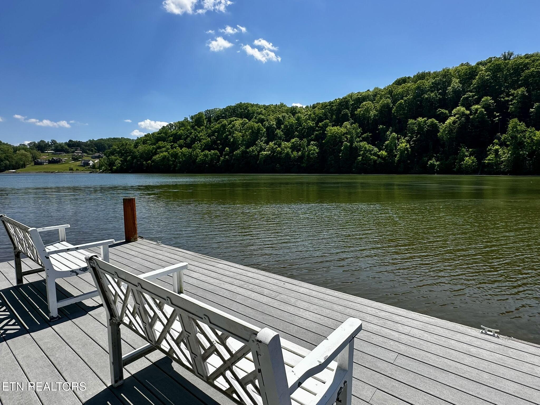 6625 Riverview Golf Drive Loudon TN 37774