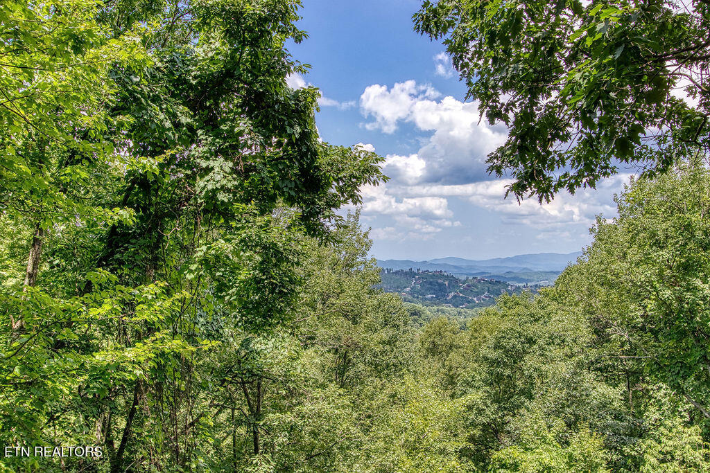 1651 Arbon Court Gatlinburg TN 37738