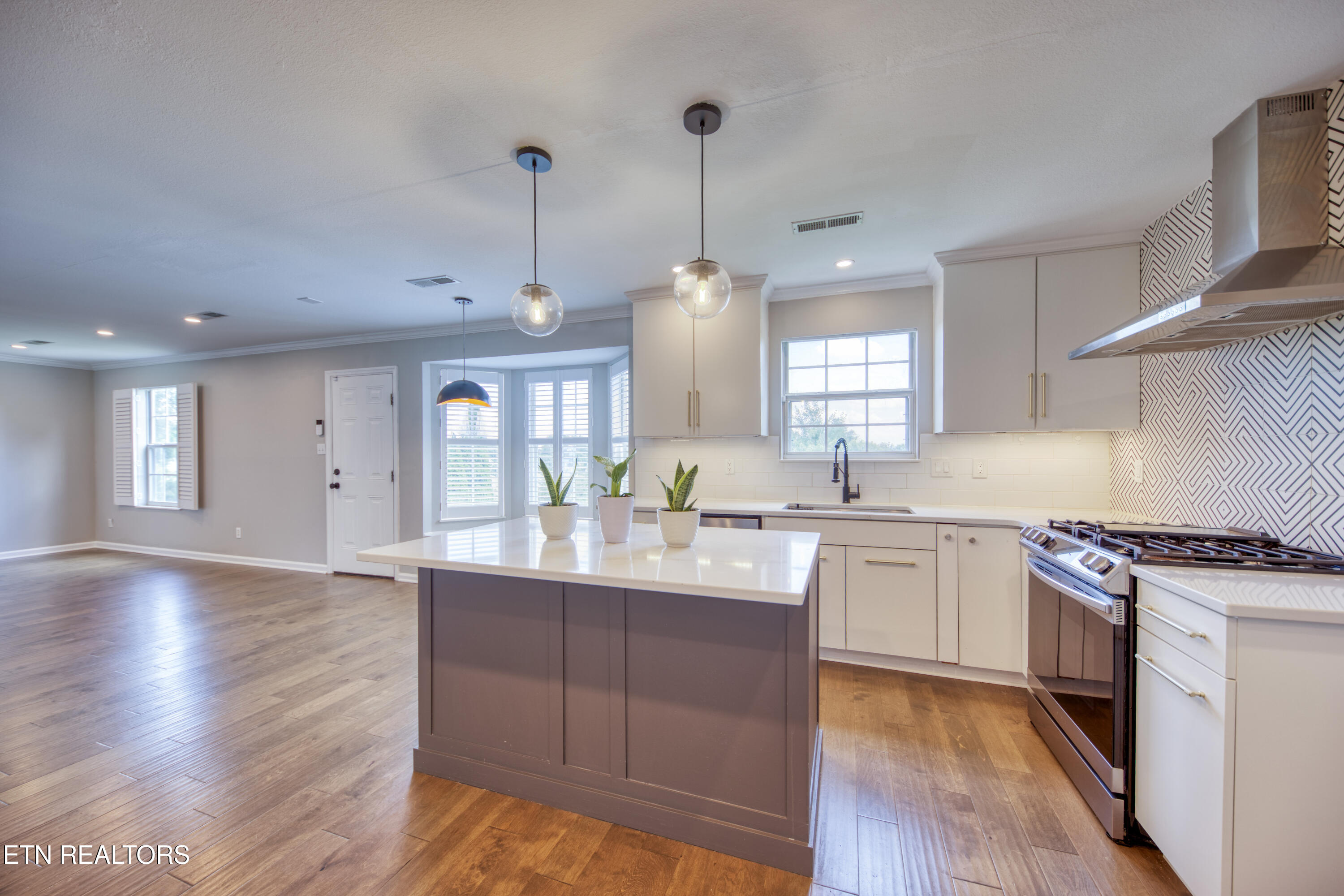 1141 Mortons Meadow Road Knoxville TN 37932
