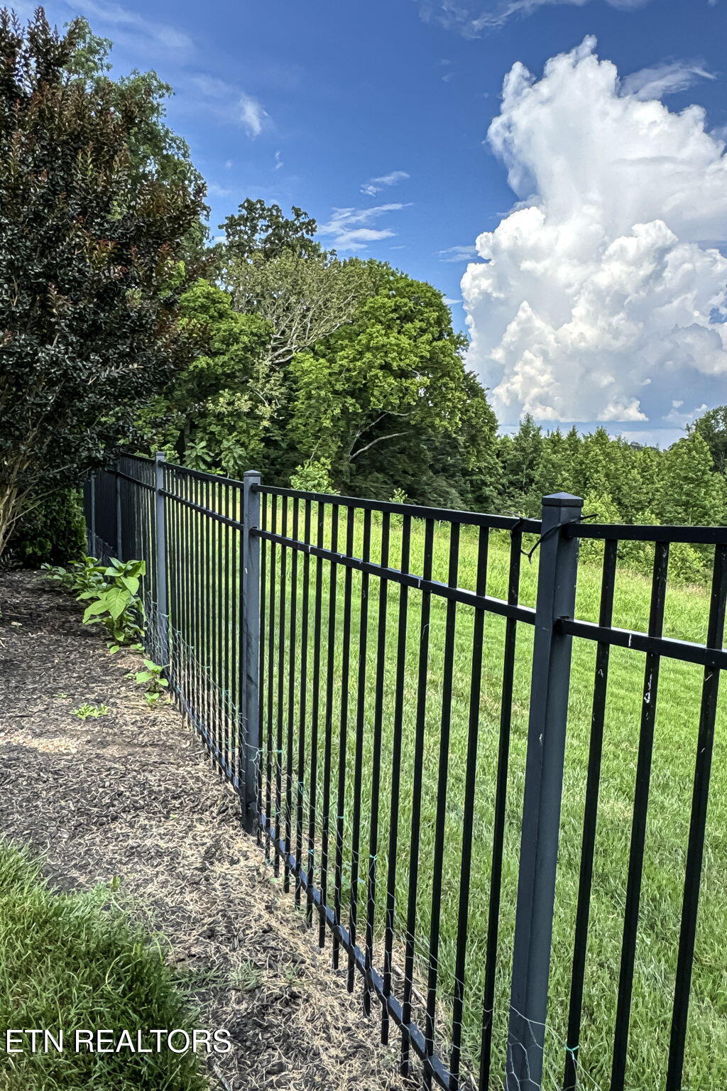 433 Water View Drive Rockwood TN 37854