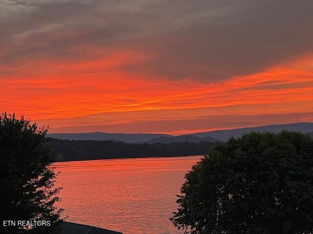 433 Water View Drive Rockwood TN 37854