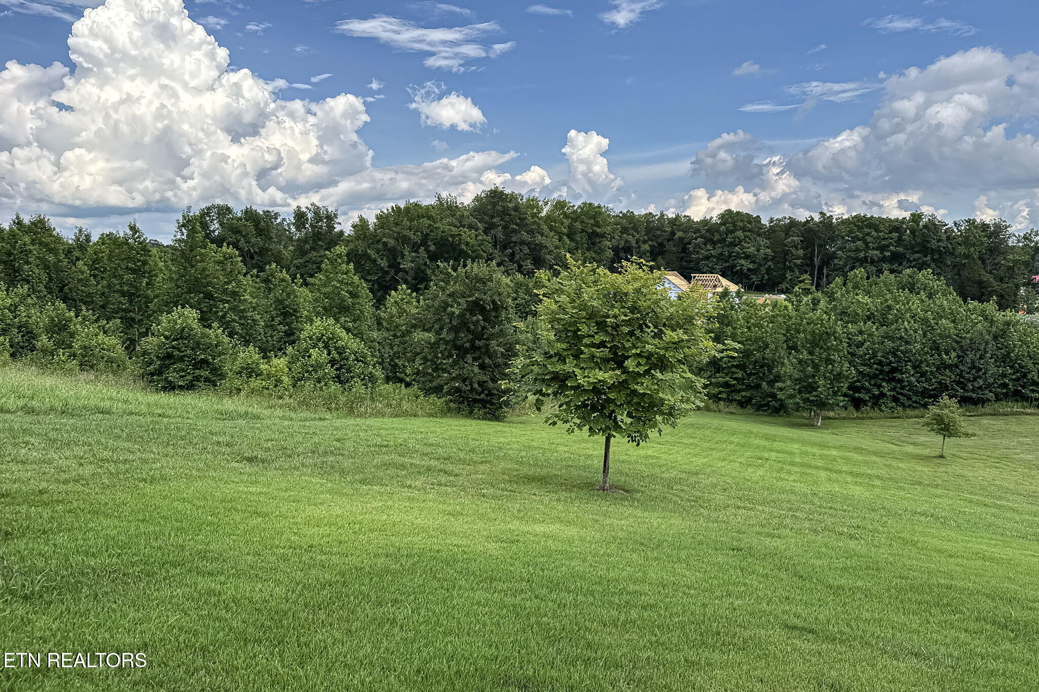 433 Water View Drive Rockwood TN 37854