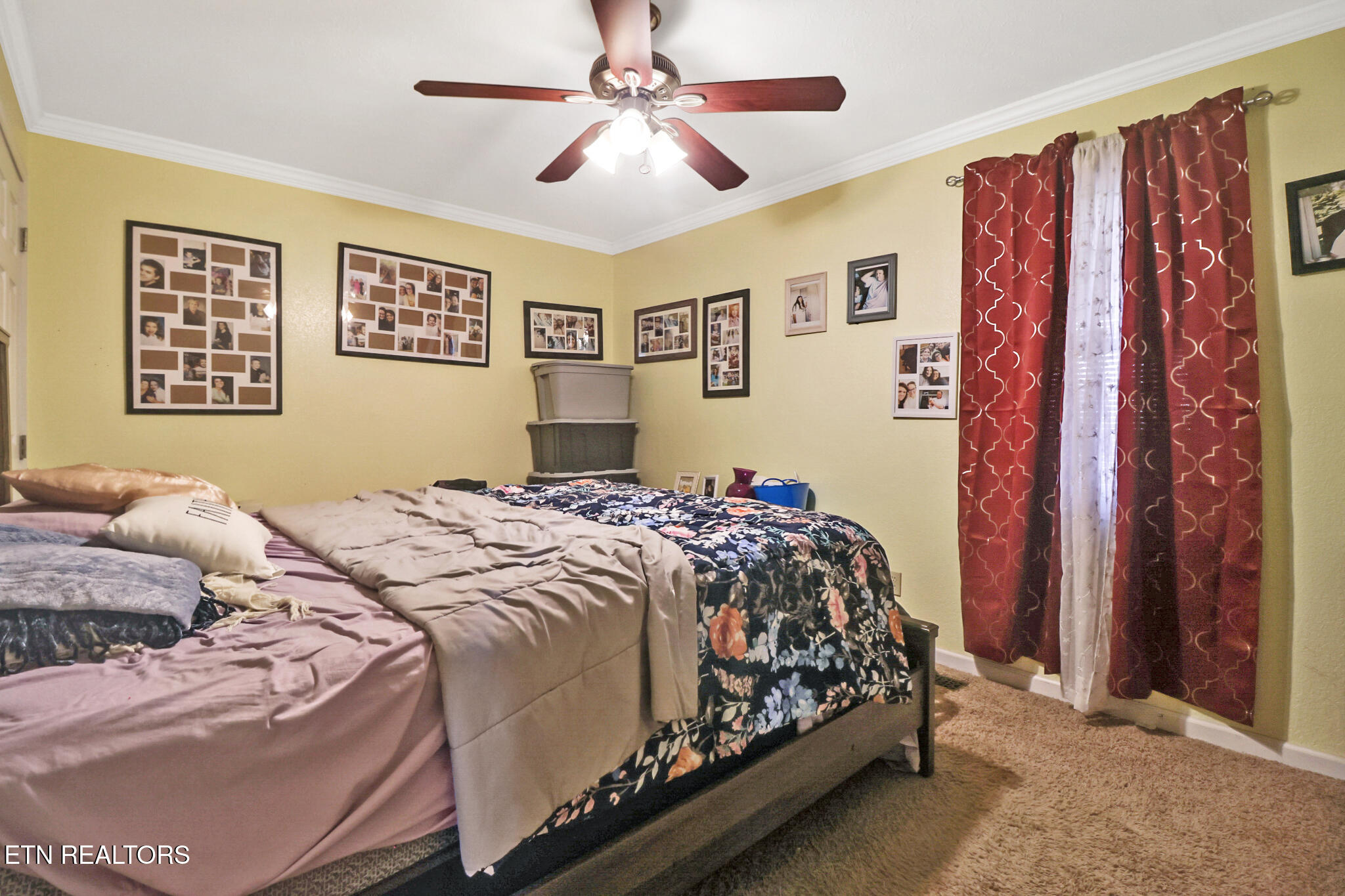 625 Mccartt Street Wartburg TN 37887