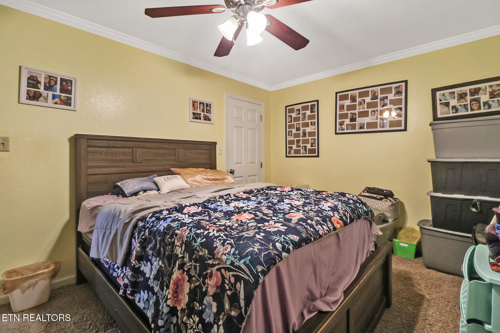 625 Mccartt Street Wartburg TN 37887