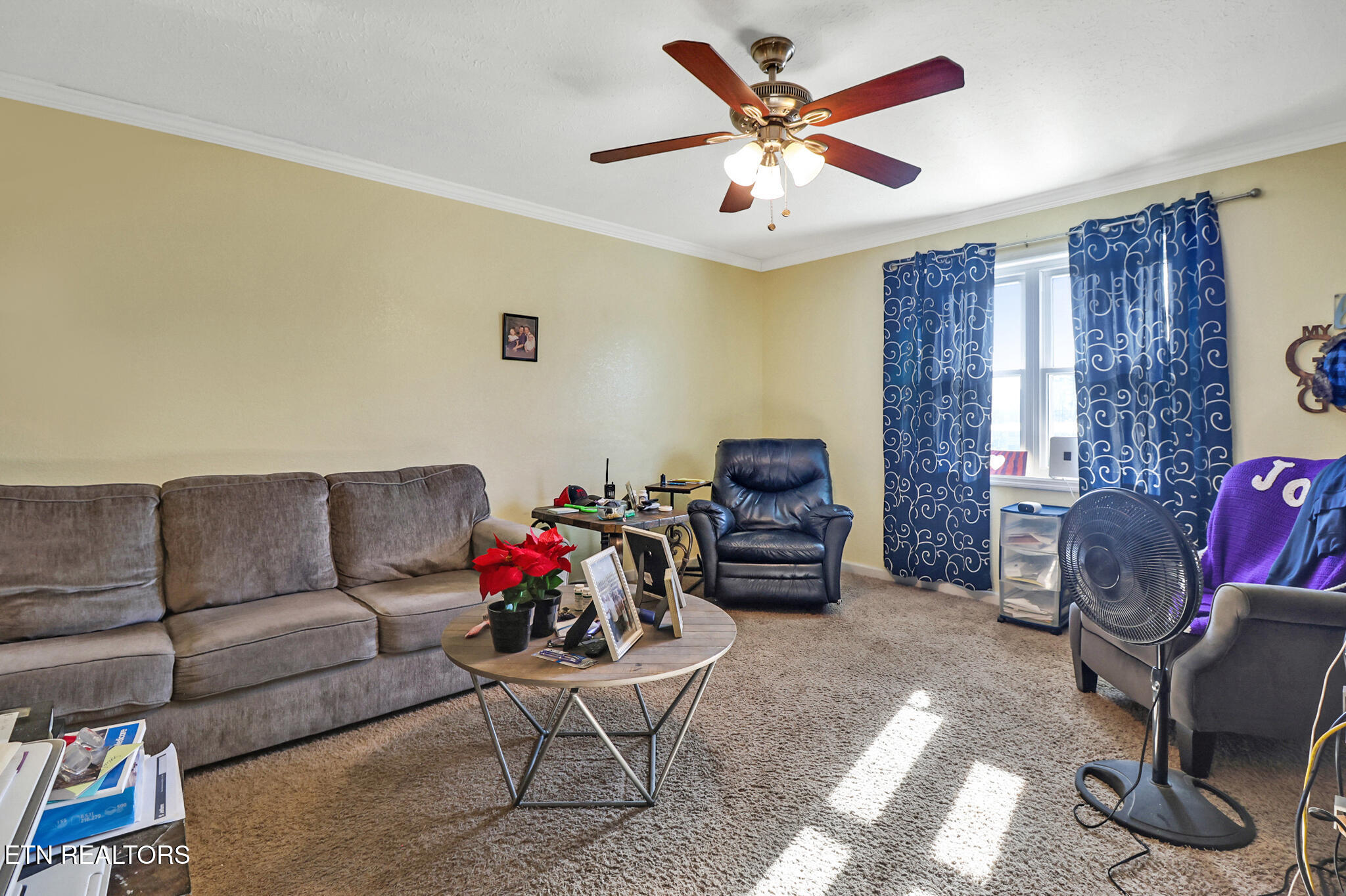625 Mccartt Street Wartburg TN 37887