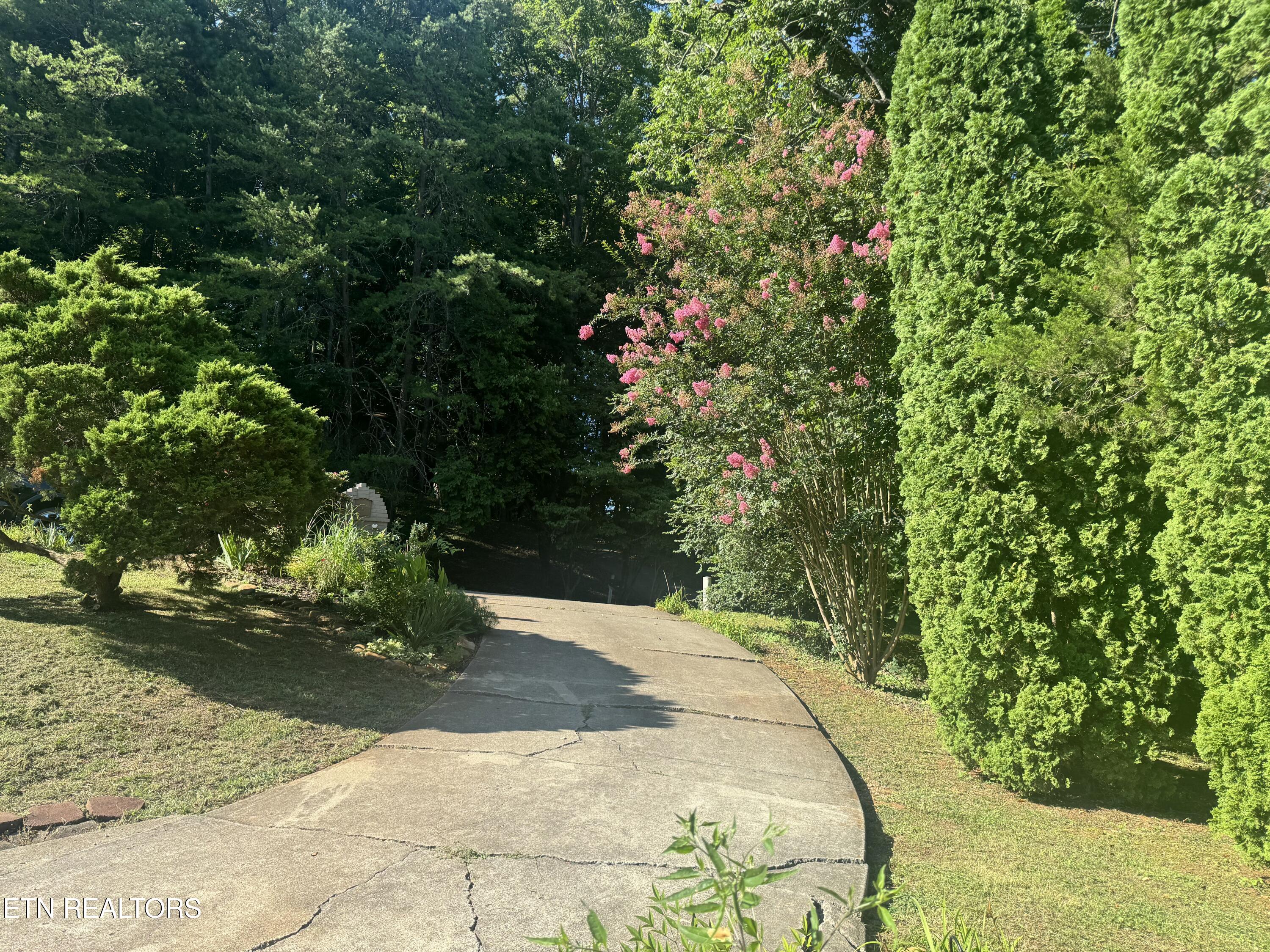 105 Trenton Drive Oak Ridge TN 37830