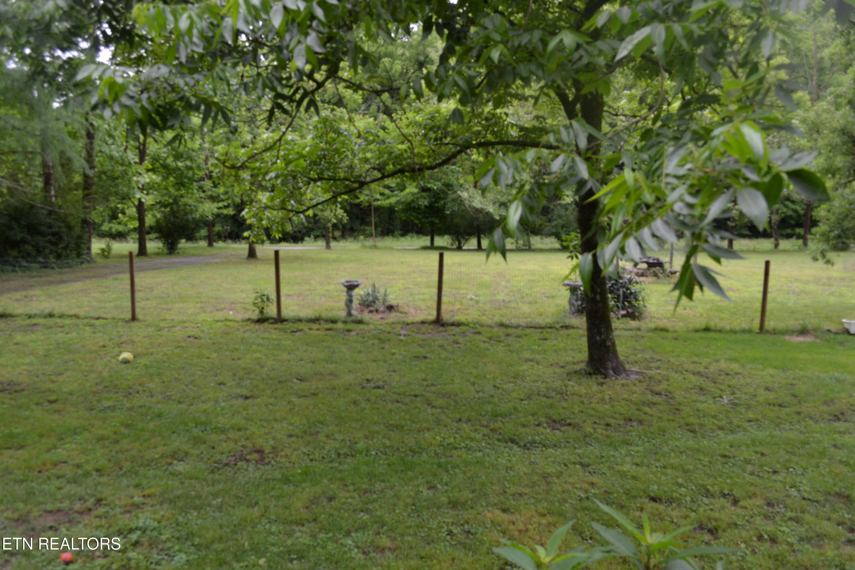 1557 Add Stafford Road Hilham TN 38568