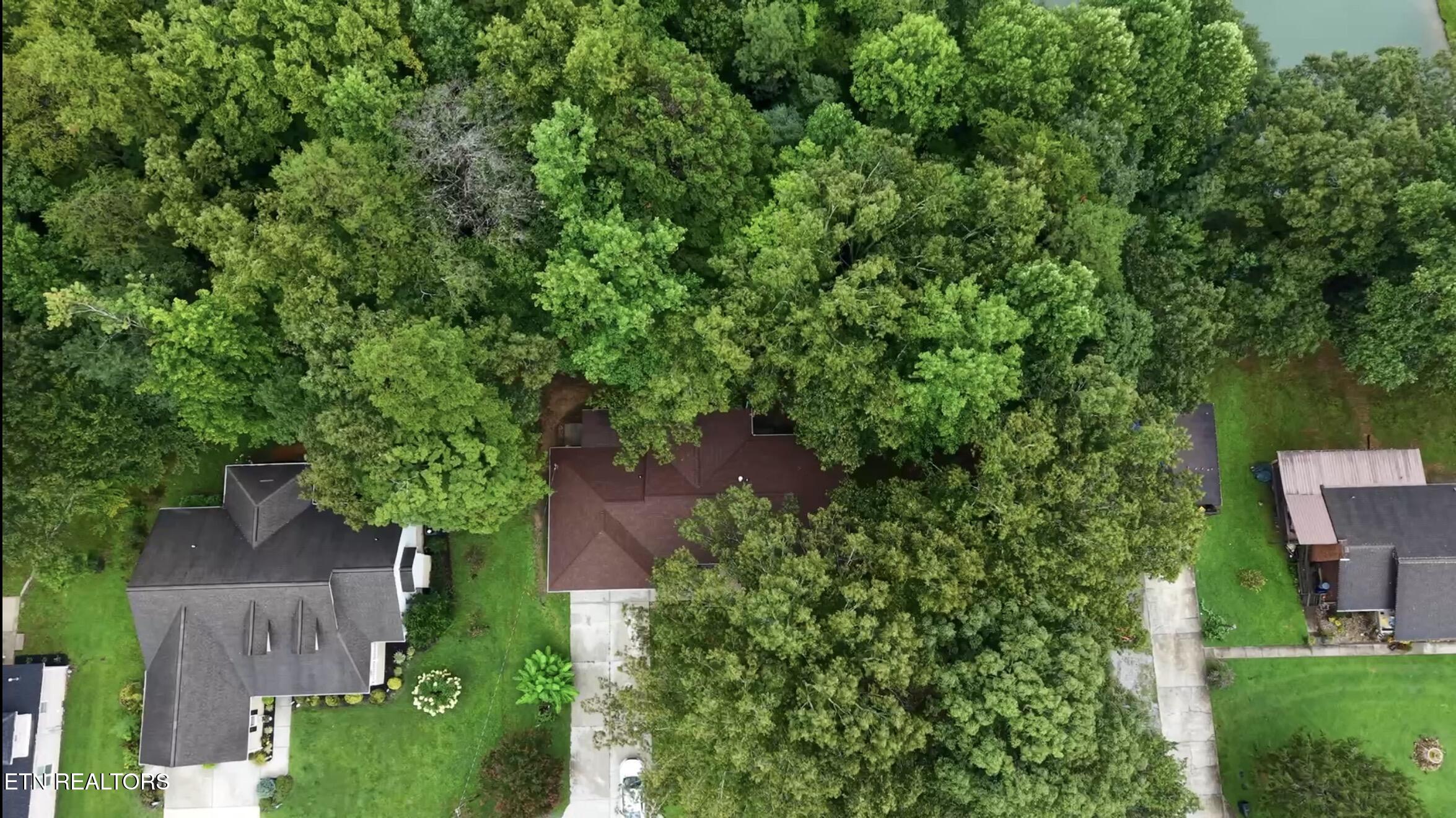 162 Mineral Springs Lane Jacksboro TN 37757