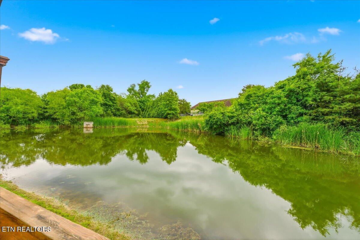 6320 Mcmillan Creek Drive Knoxville TN 37924