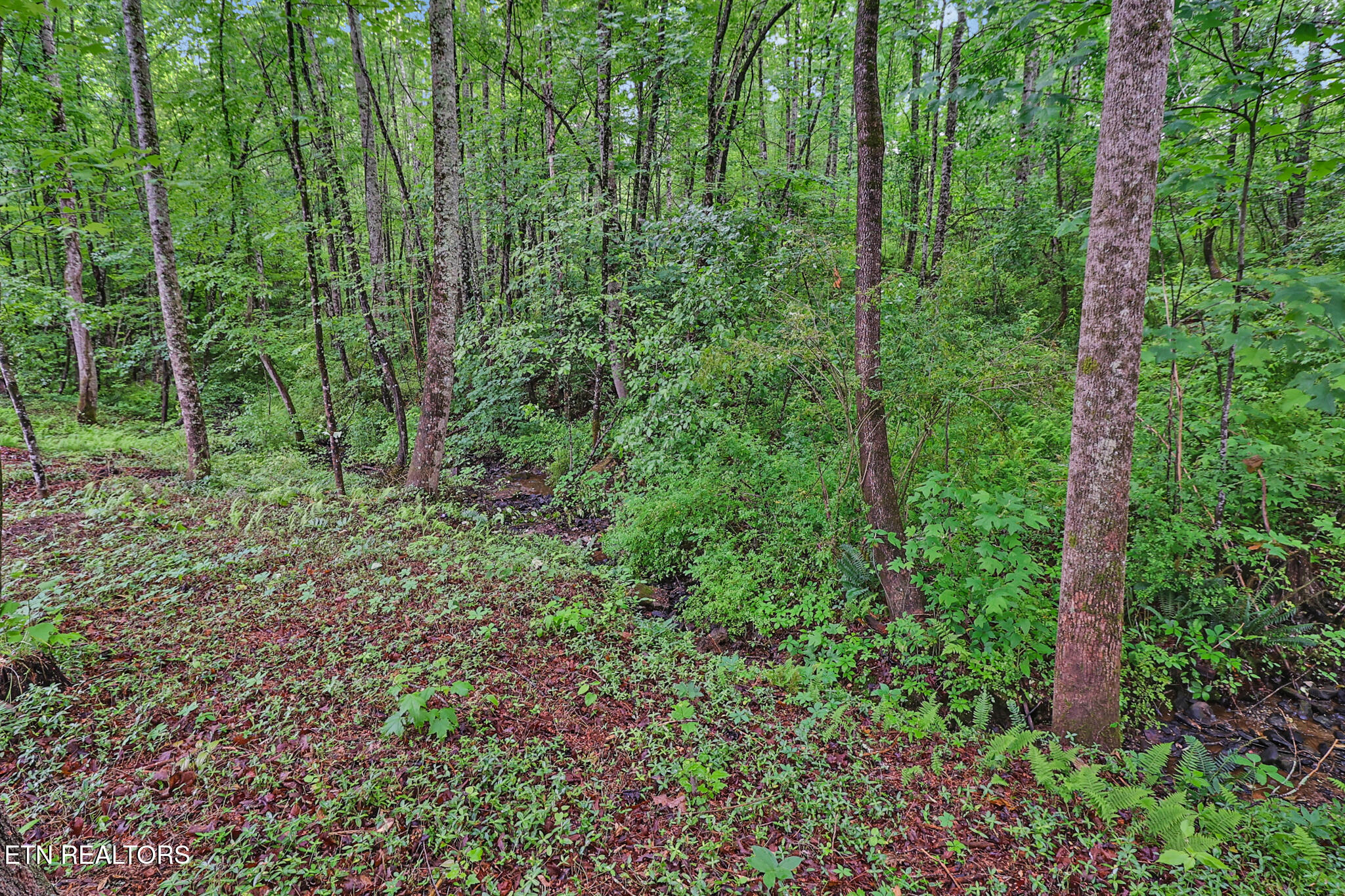 1421 Taylor Place Road Jamestown TN 38556