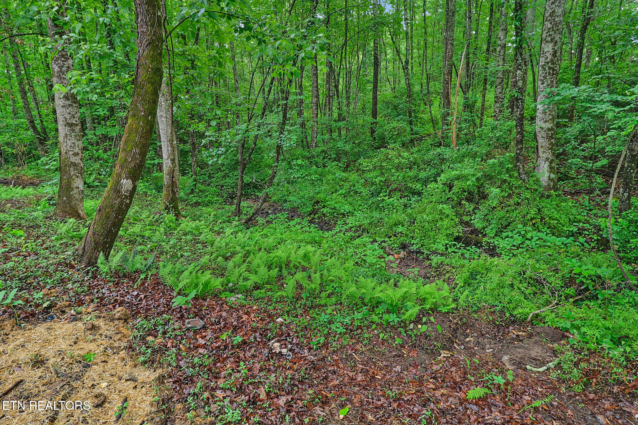 1421 Taylor Place Road Jamestown TN 38556