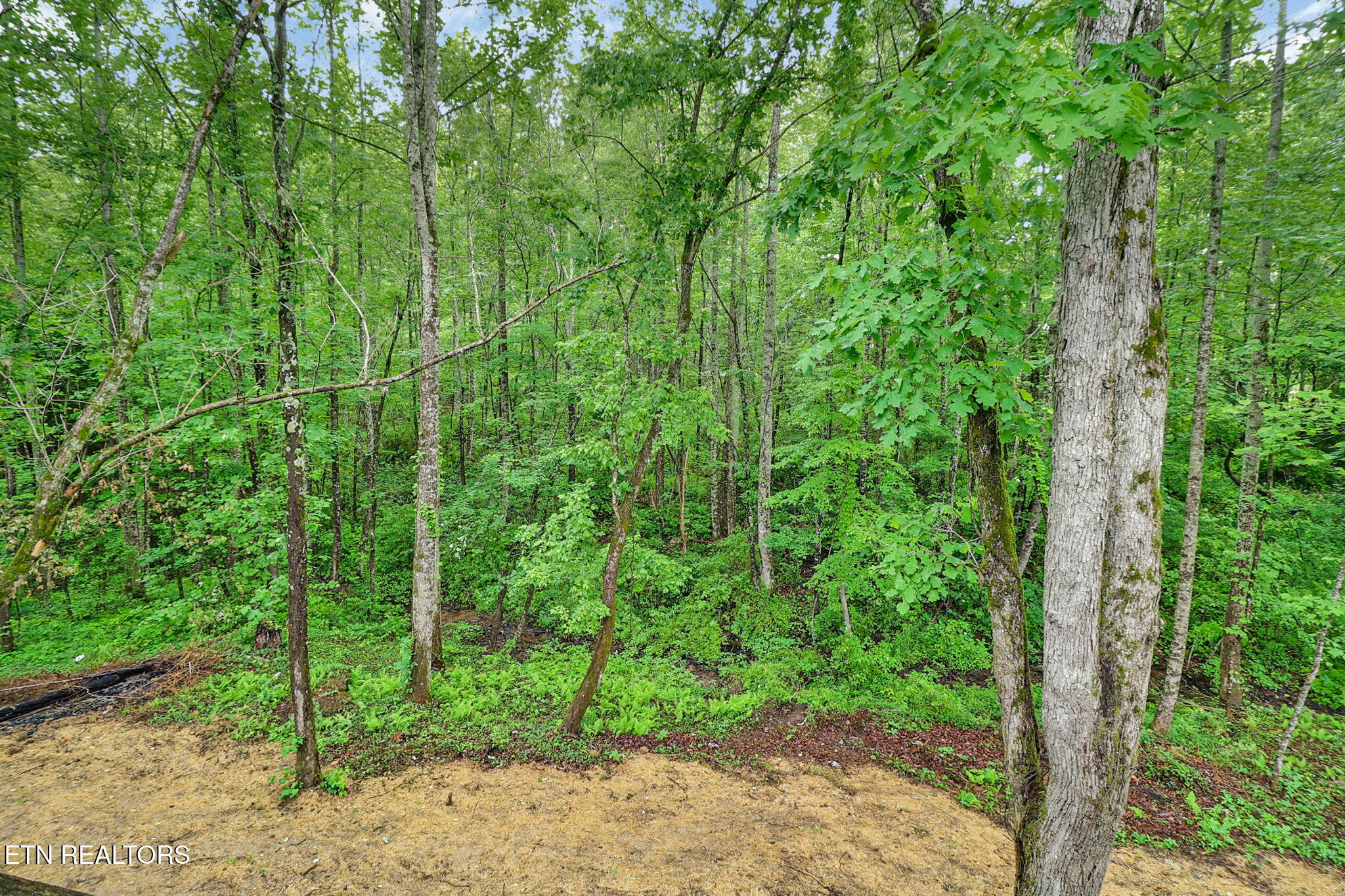1421 Taylor Place Road Jamestown TN 38556