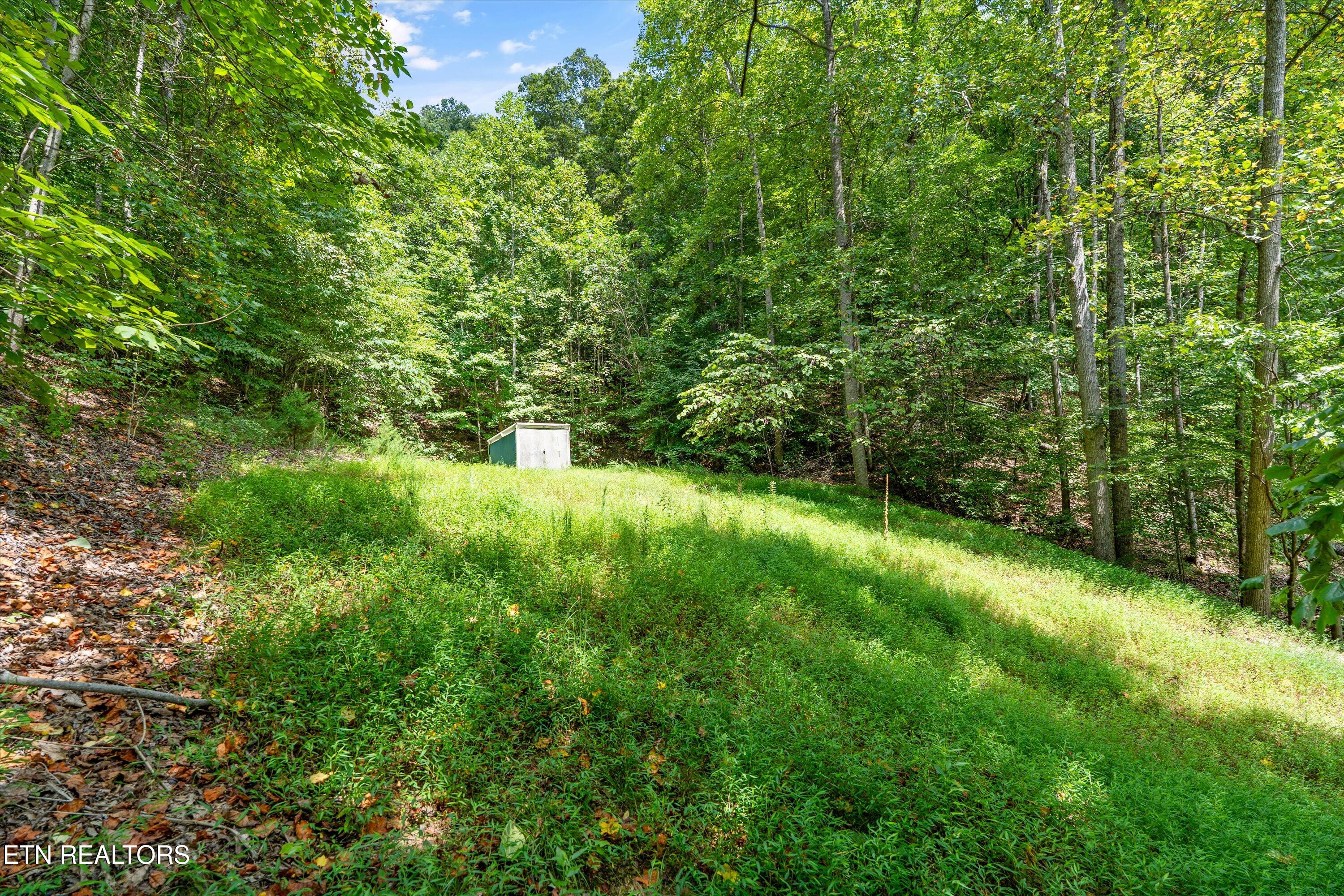 340 Parsons Shores Drive Sharps Chapel TN 37866