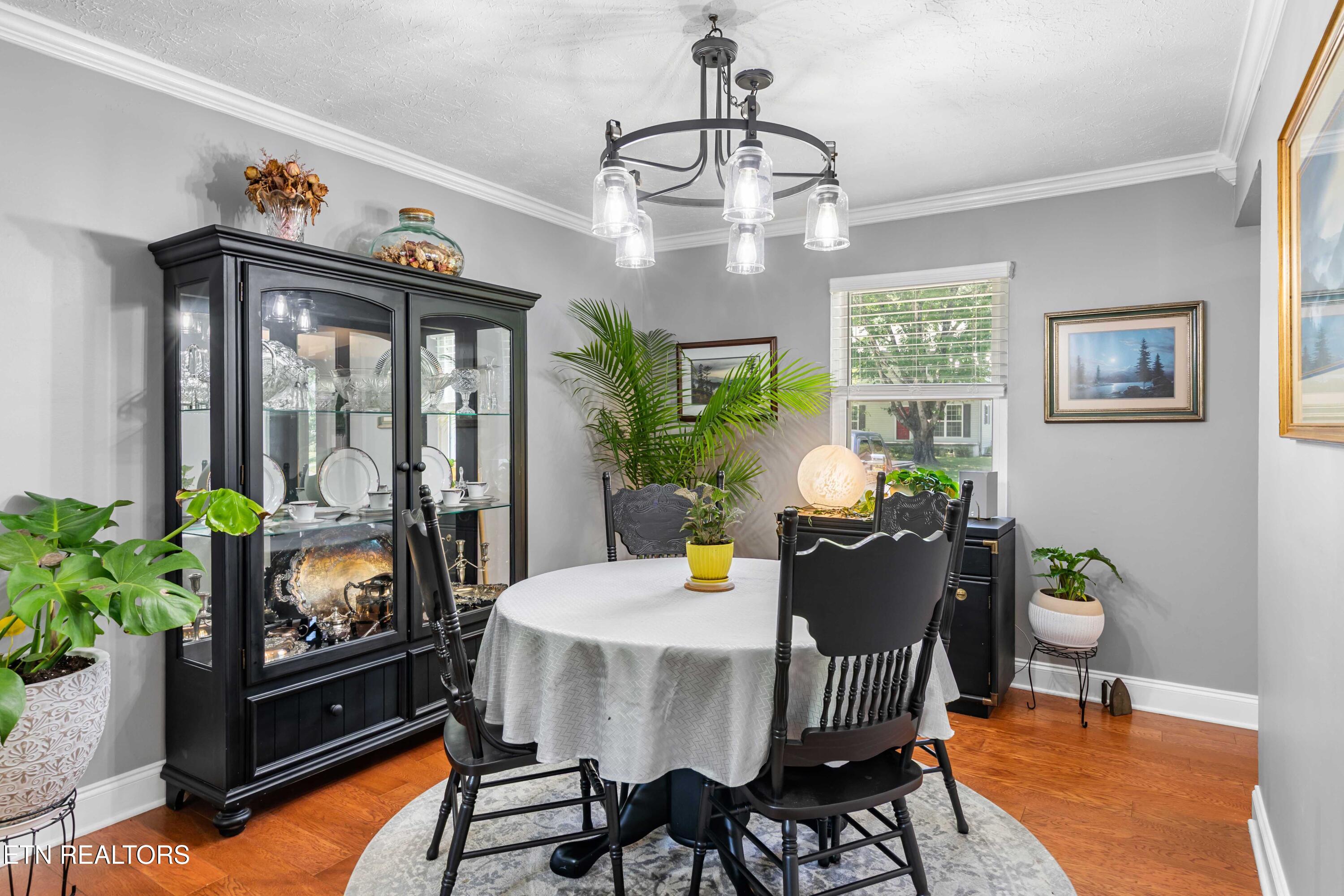 215 Tusculum Drive Oak Ridge TN 37830