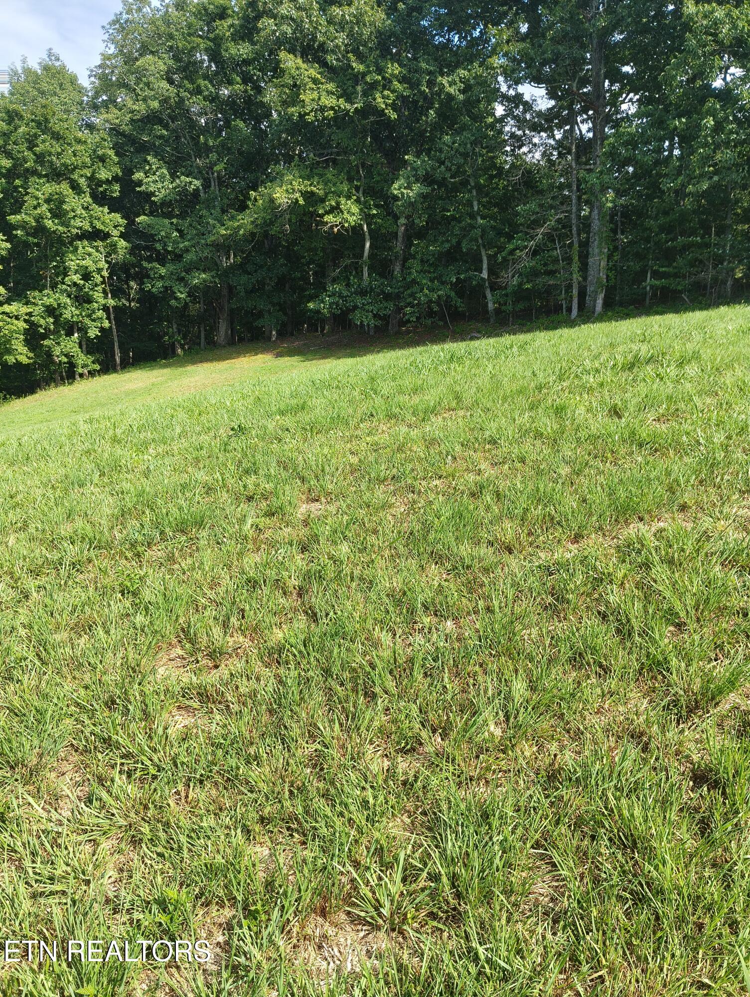 1947 Oody Road Loudon TN 37774