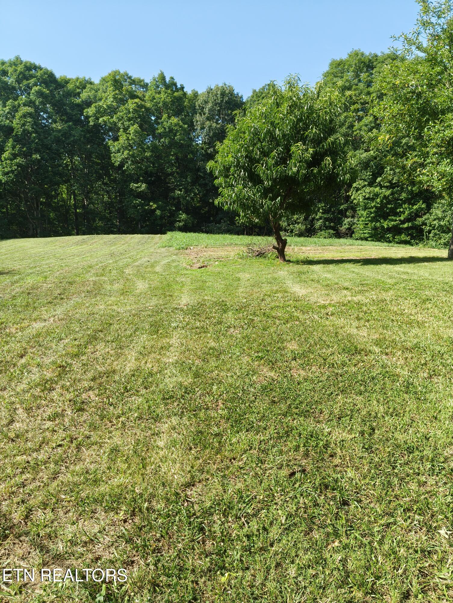 1947 Oody Road Loudon TN 37774