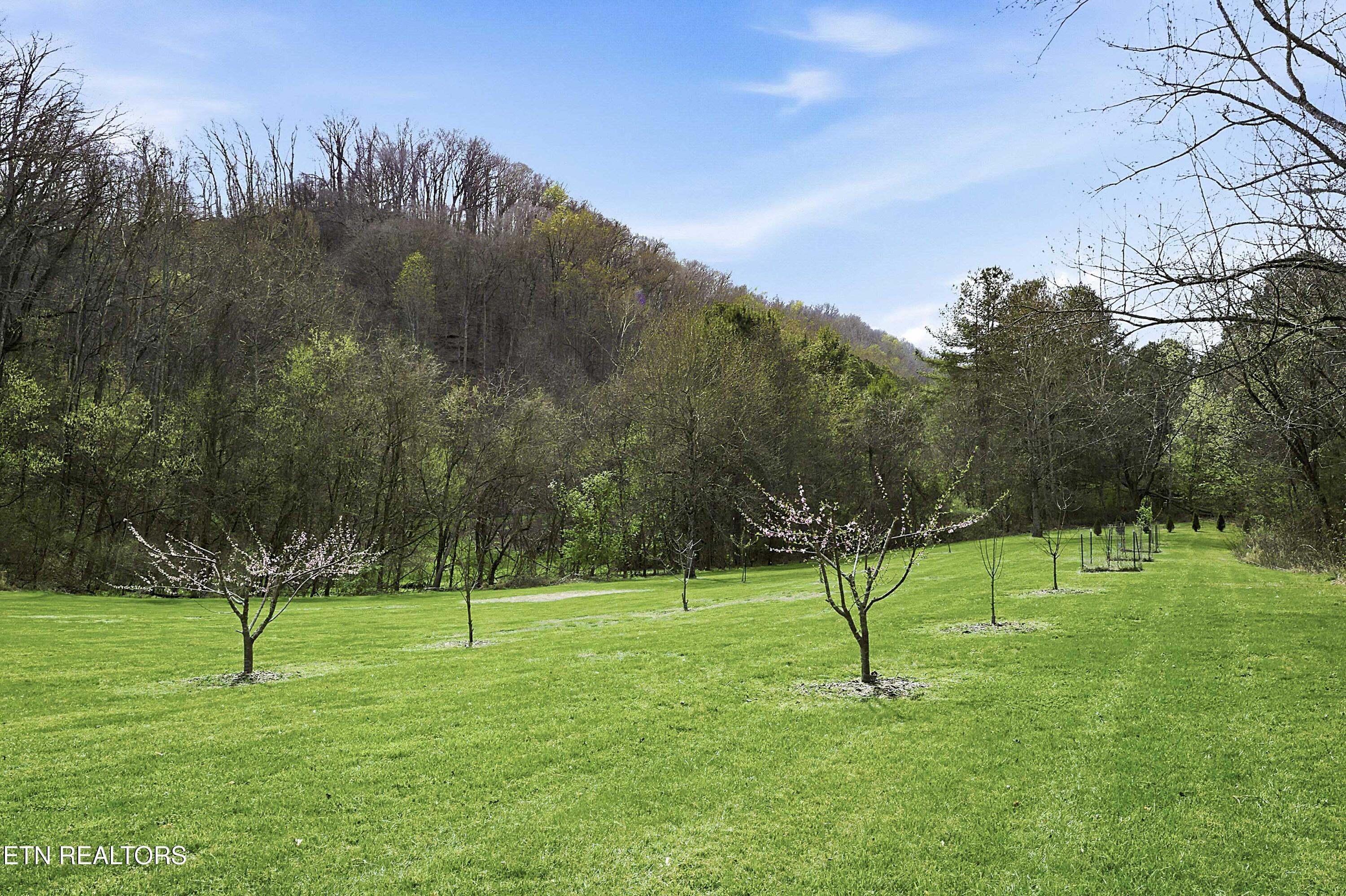 2740 Mccammon Road Rockford TN 37853
