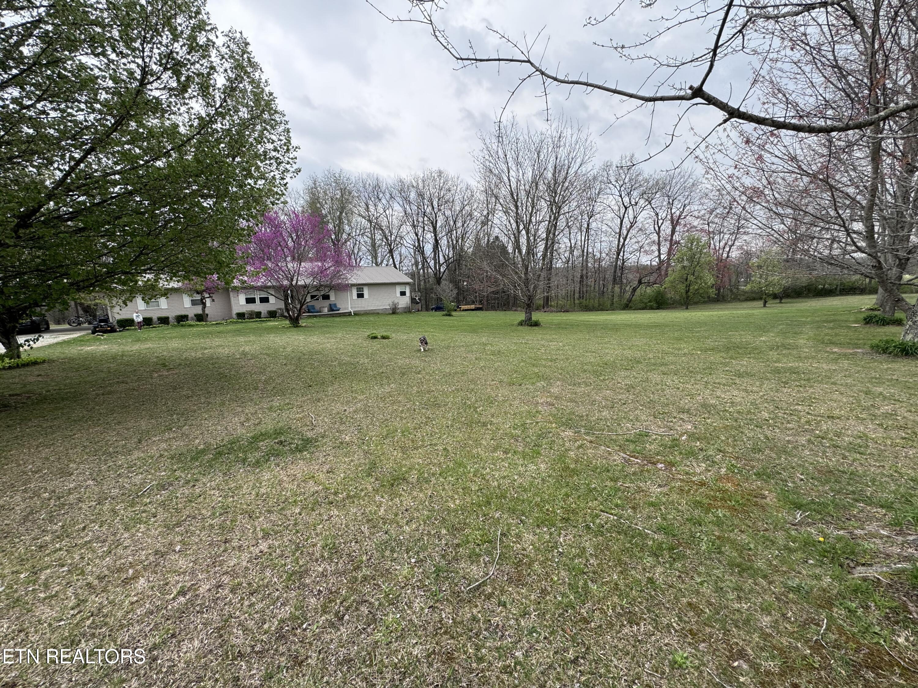 5297 Highway 127 Crossville TN 38572