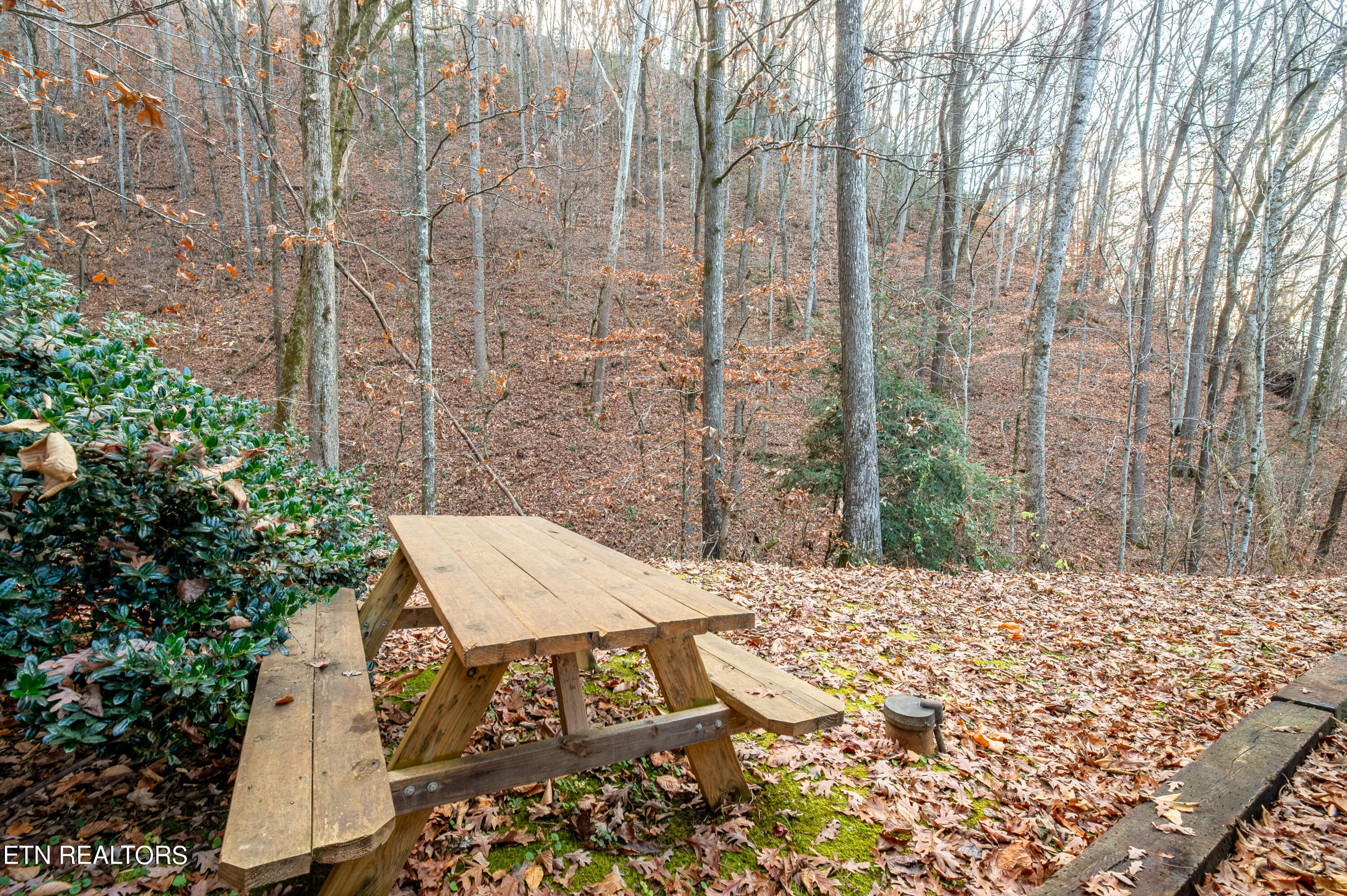 3764 Dollys Drive Sevierville TN 37876