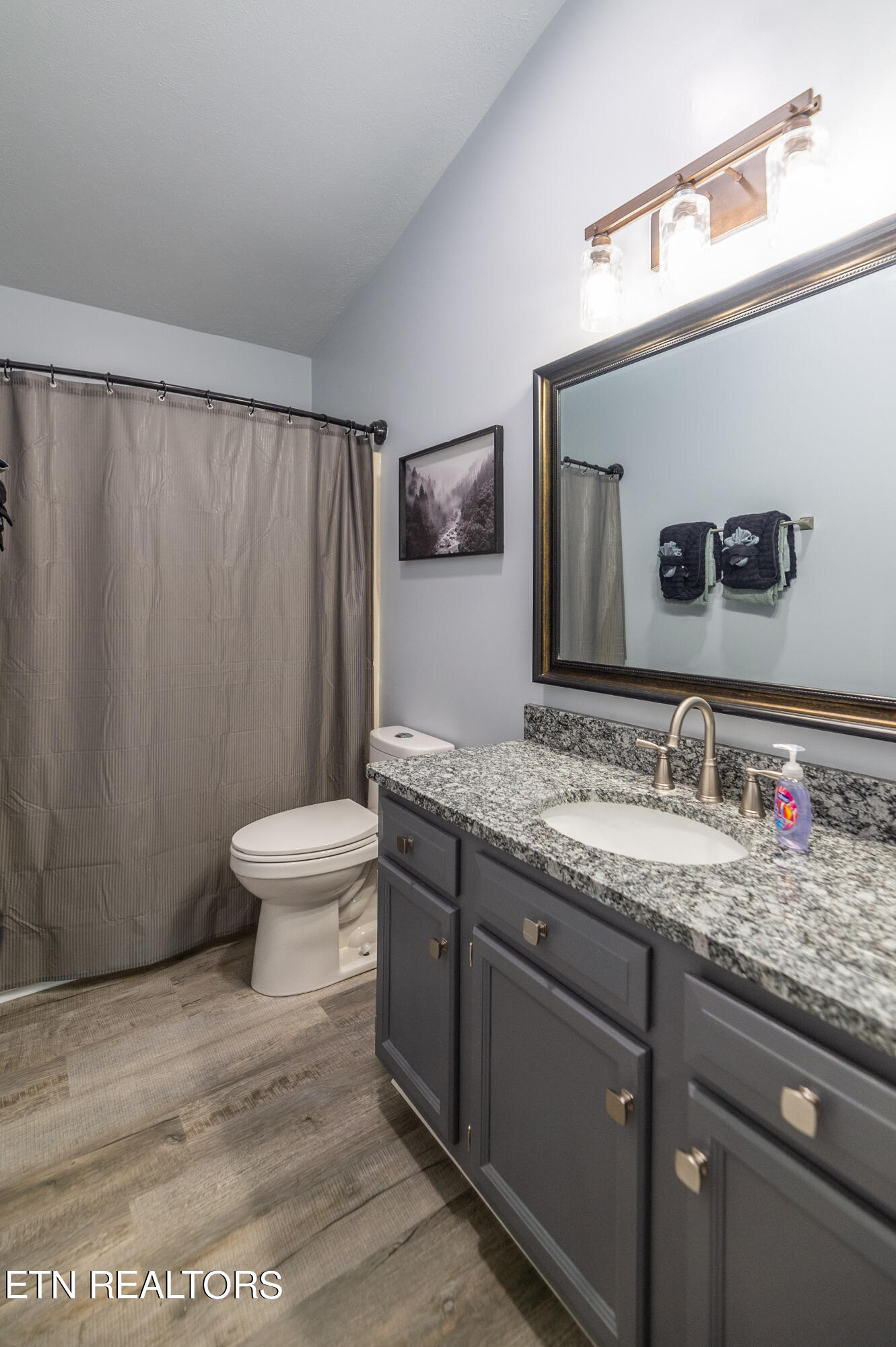 3764 Dollys Drive Sevierville TN 37876
